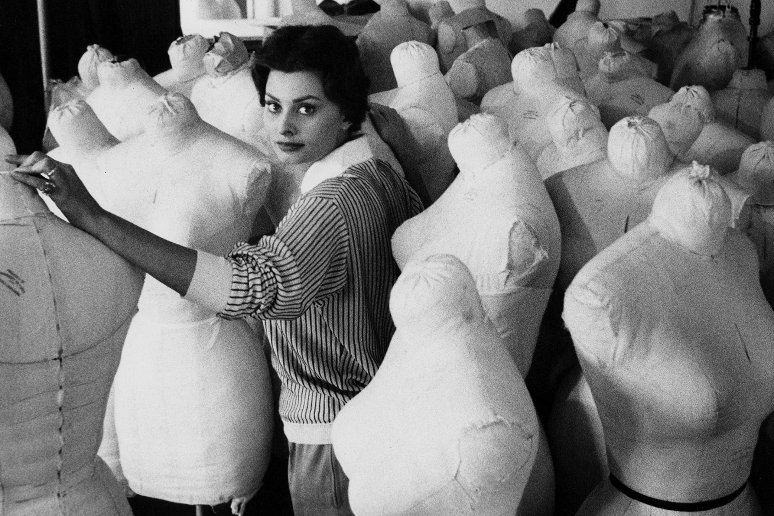 Bob Willoughby: A Cinematic Life