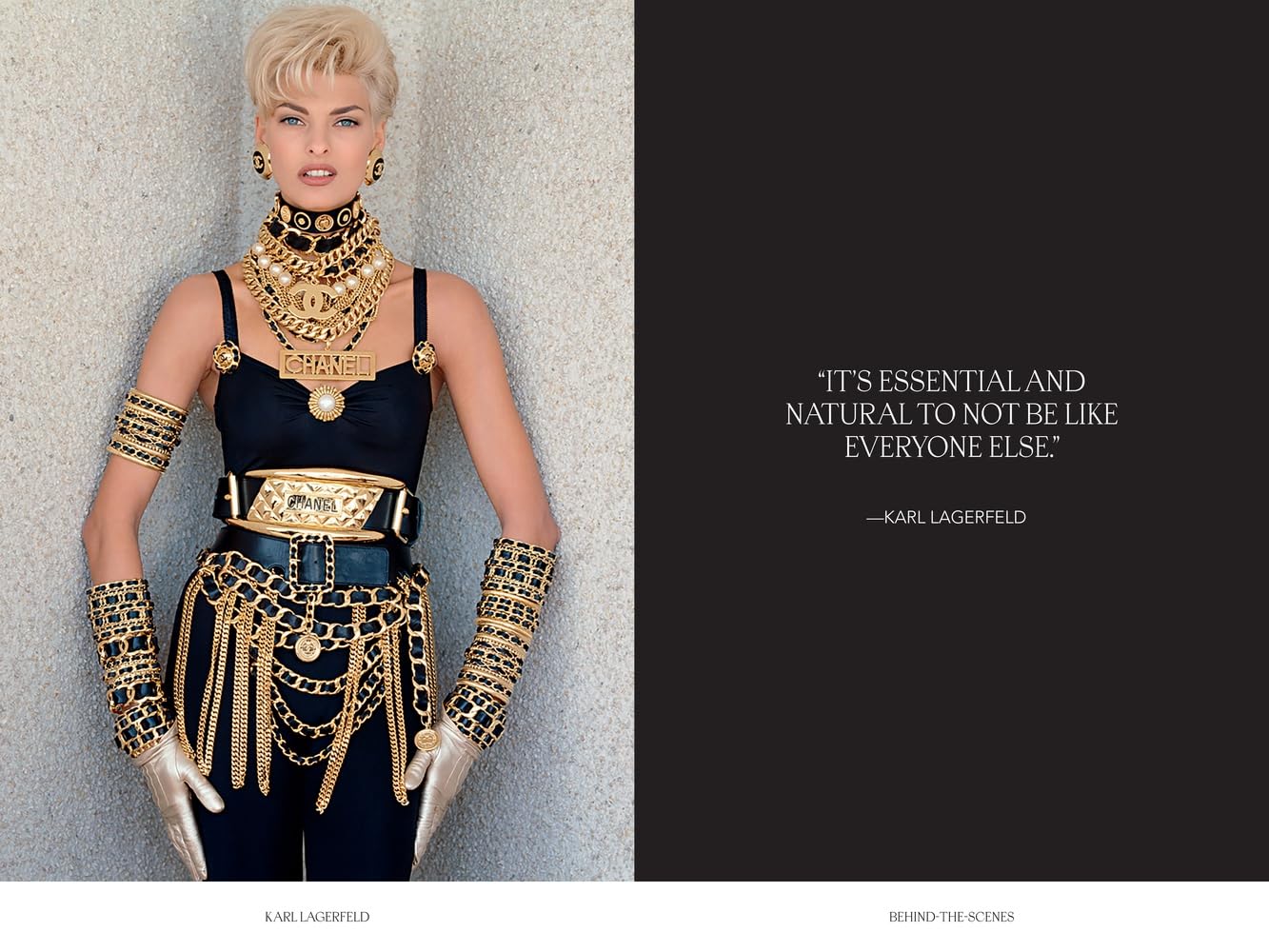 Karl Lagerfeld - Fashion Icon