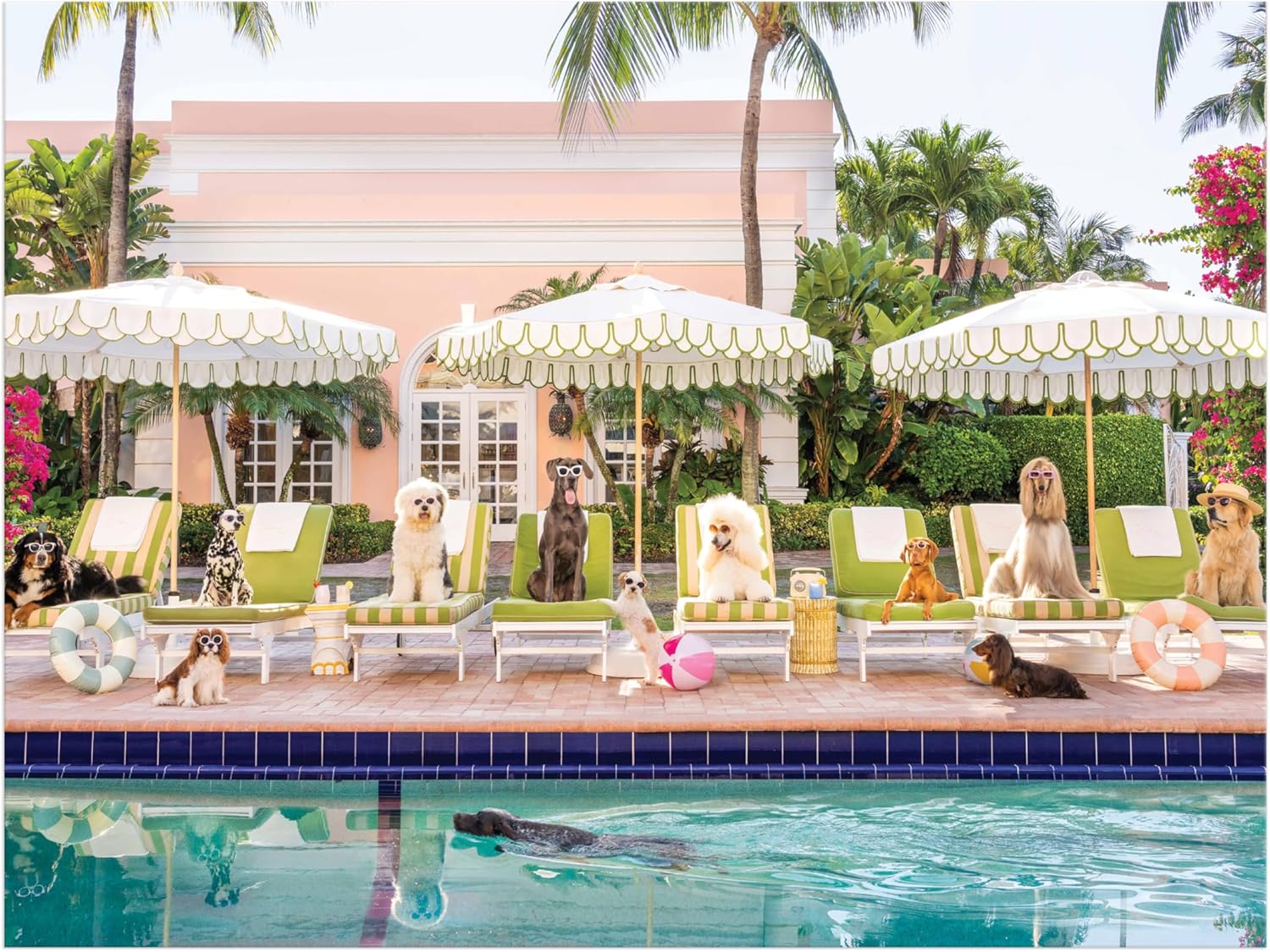 Gray Malin Palm Beach – 1000 Piece Puzzle