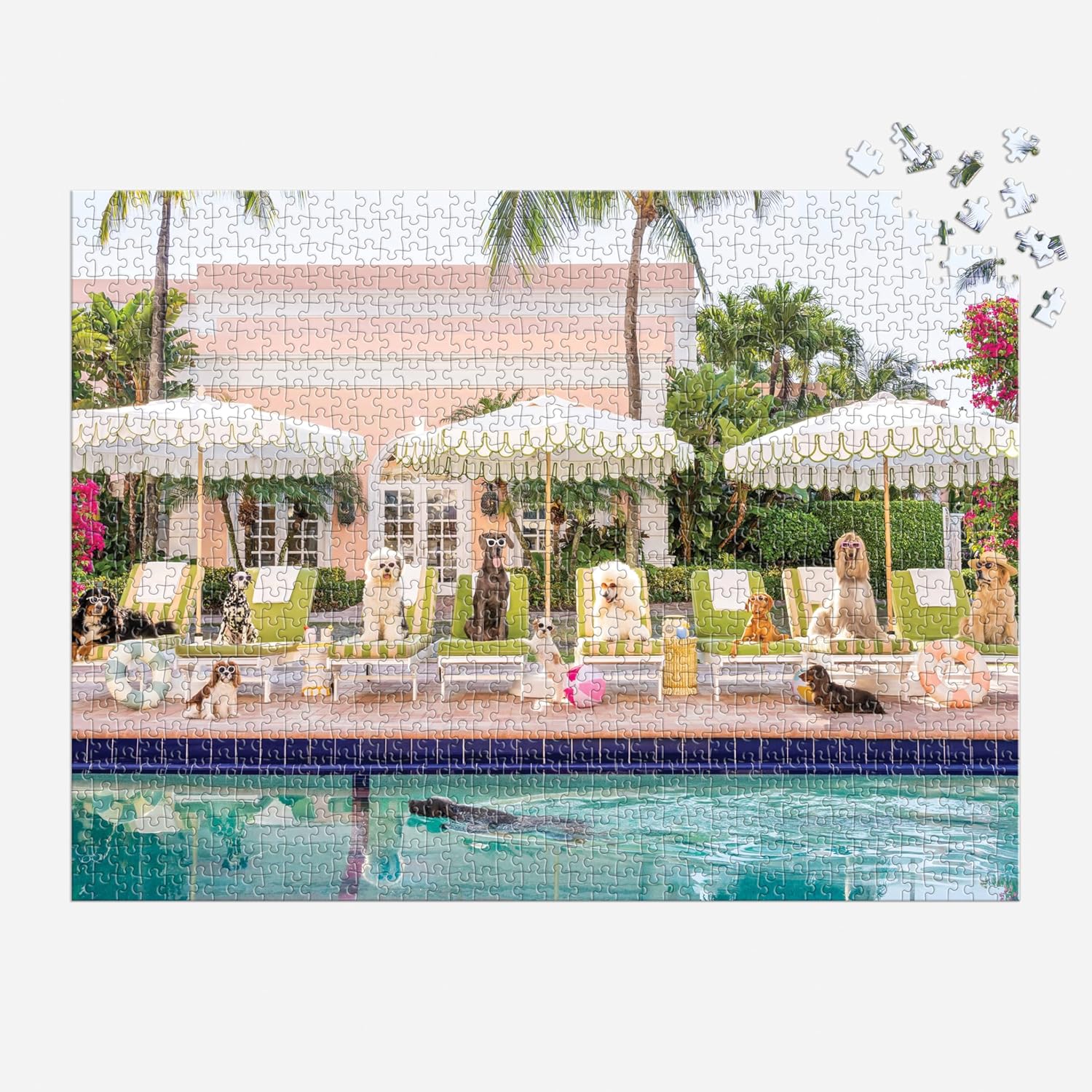 Gray Malin Palm Beach – 1000 Piece Puzzle