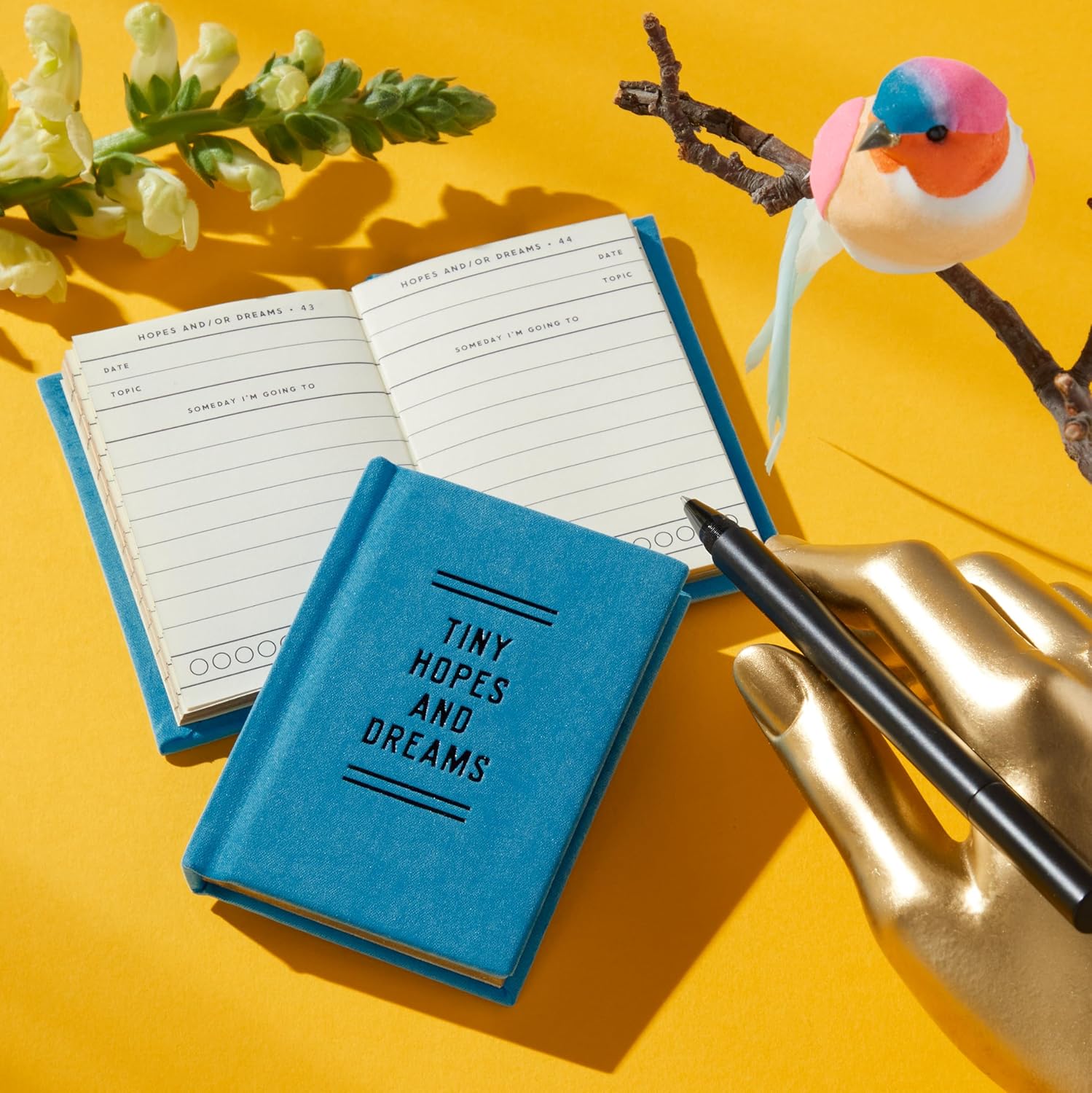 Tiny Hopes And Dreams