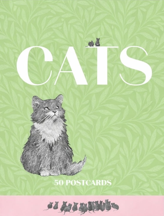 Cats - 50 Postcards