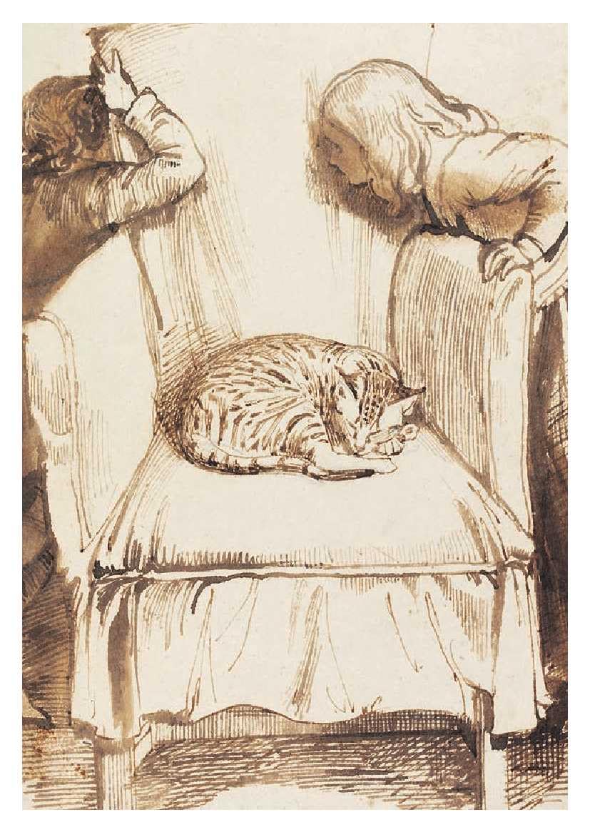 Cats - 50 Postcards