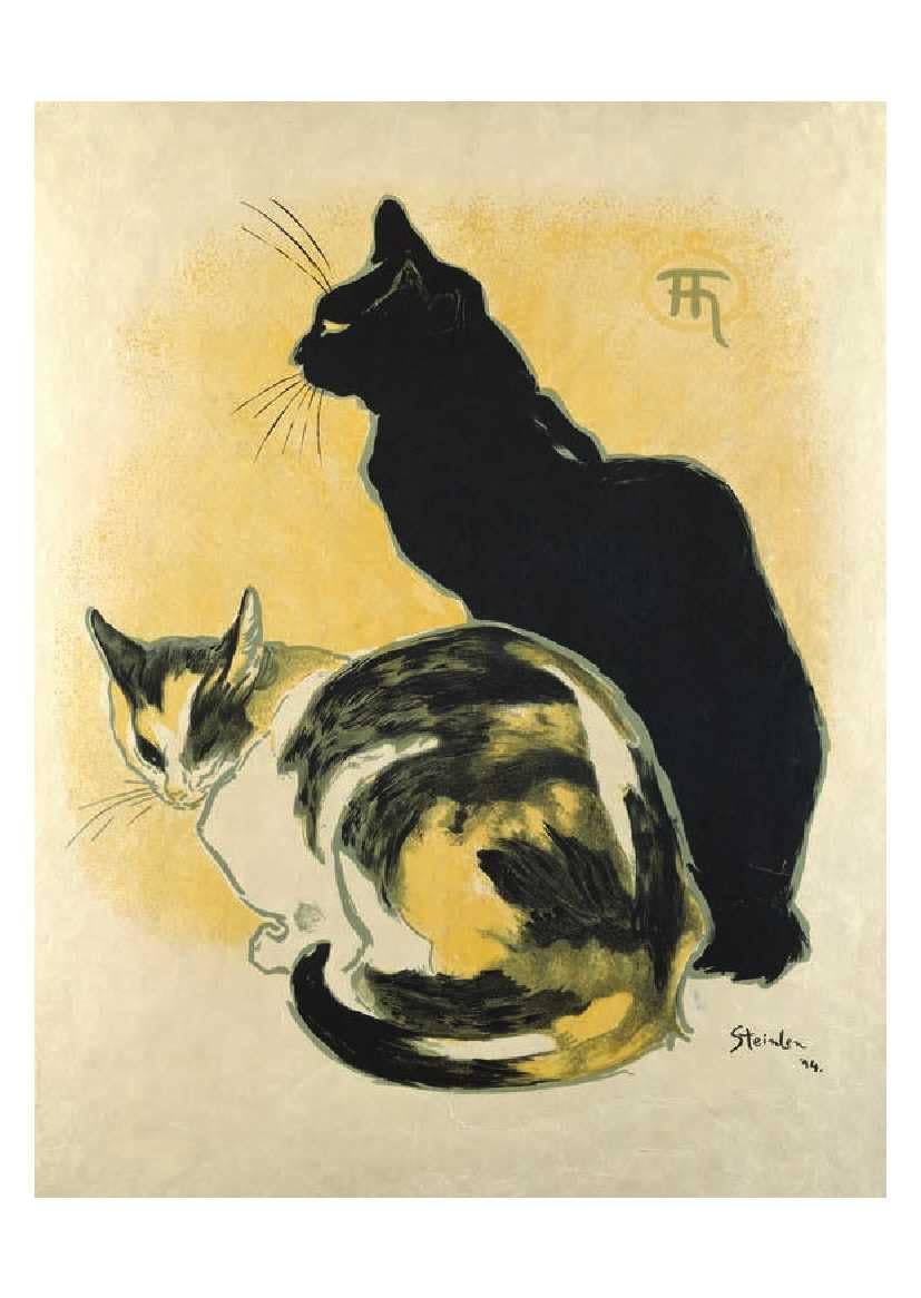 Cats - 50 Postcards