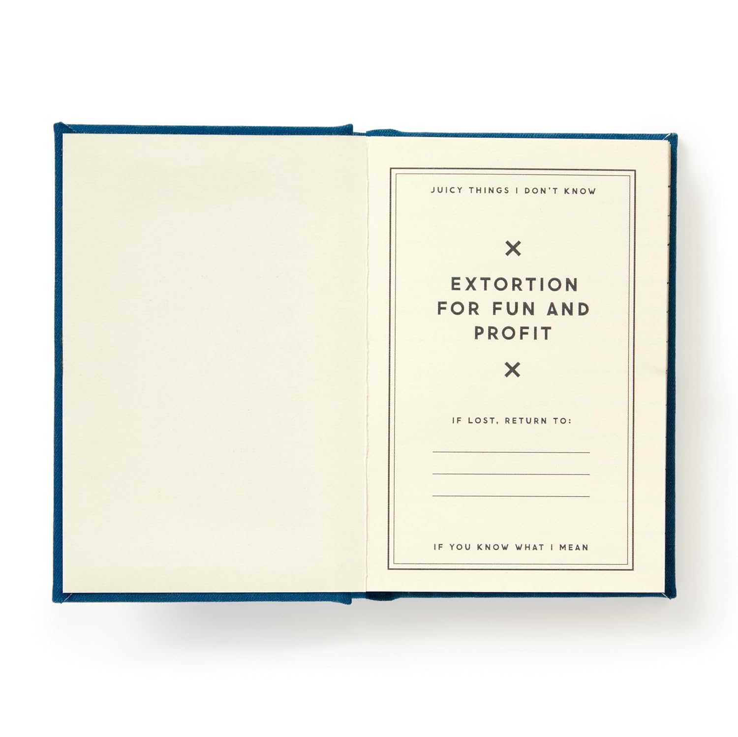 Tiny Diary - Future Blackmail