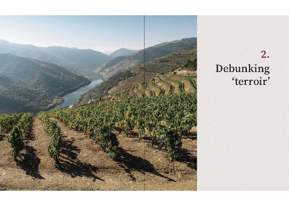 The Cynic's Guide to Wine