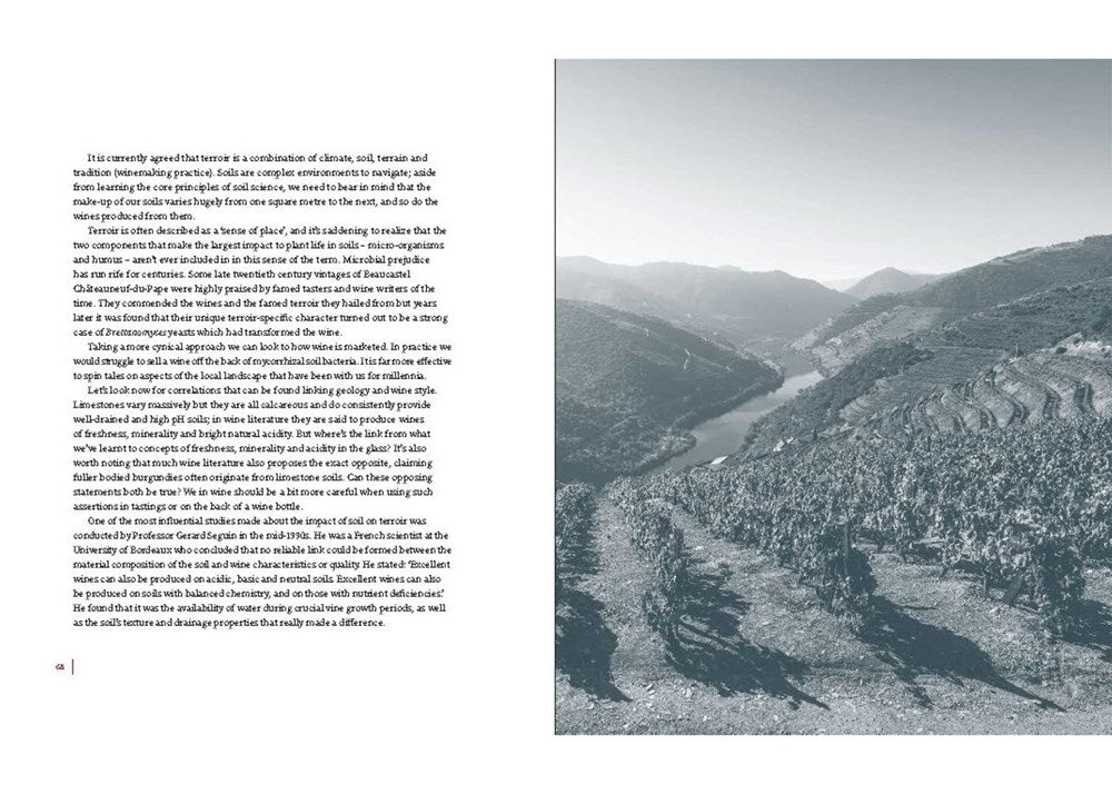 The Cynic's Guide to Wine