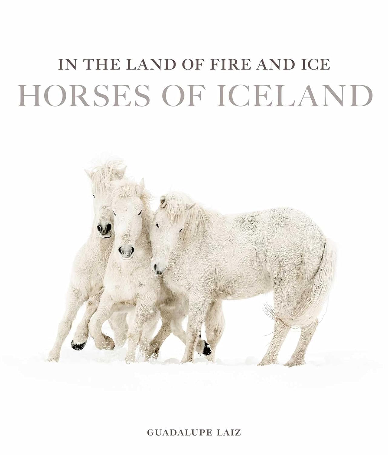 In the Land of Fire and Ice: Horses of Iceland