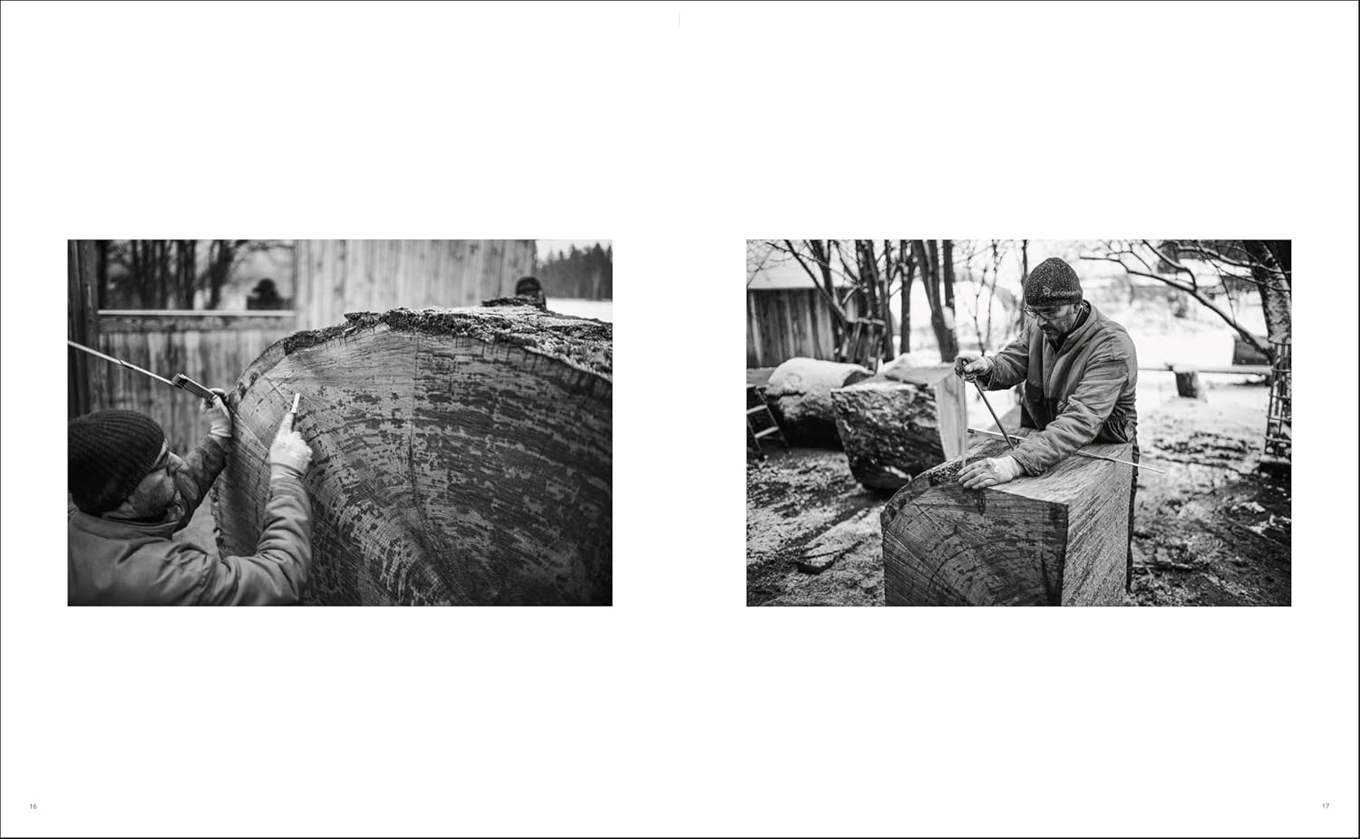 Ernst Gamperl: Urkraft