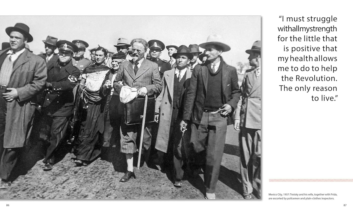 Frida: Woman. Artist. Icon.