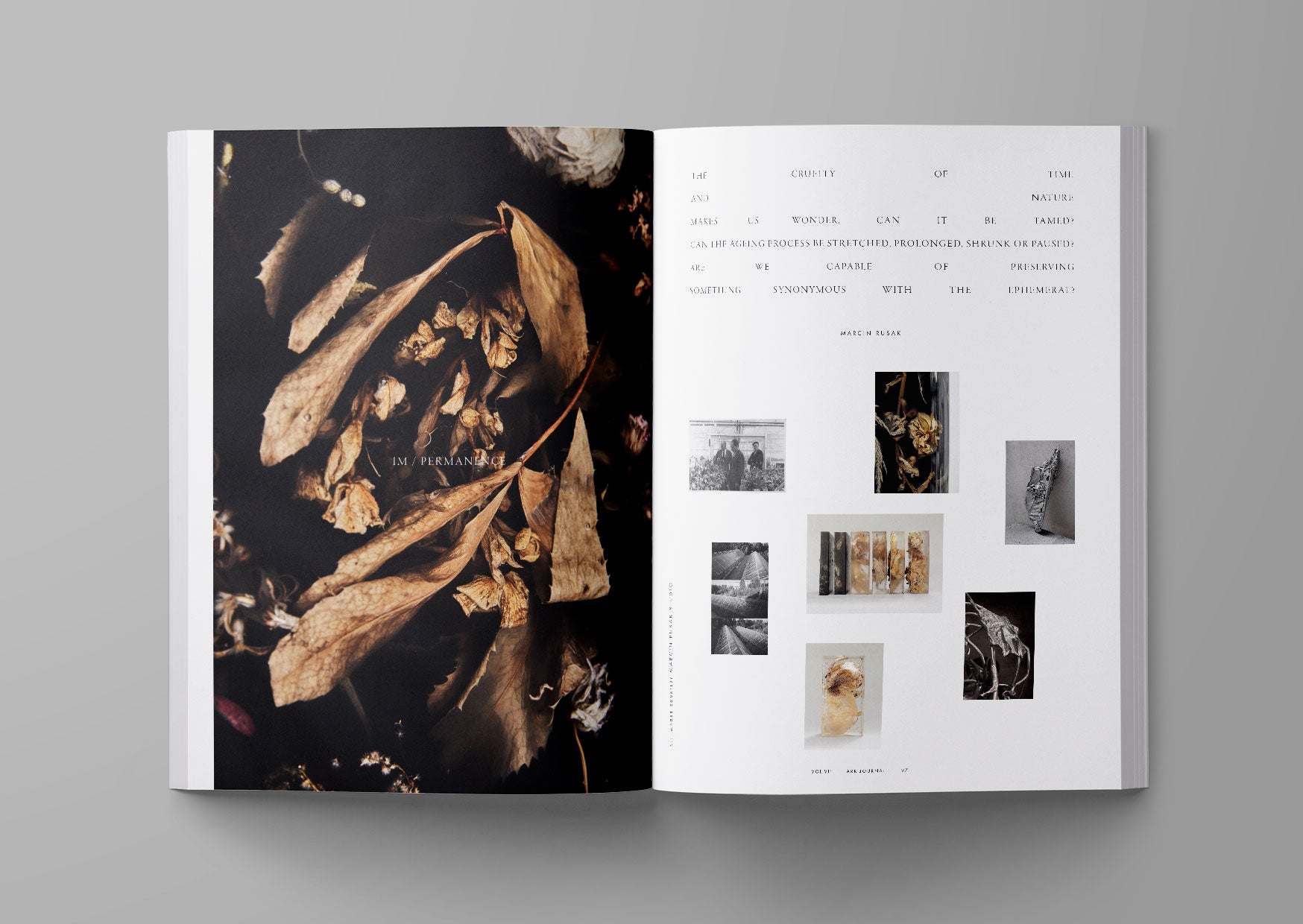 Ark Journal Vol. VII