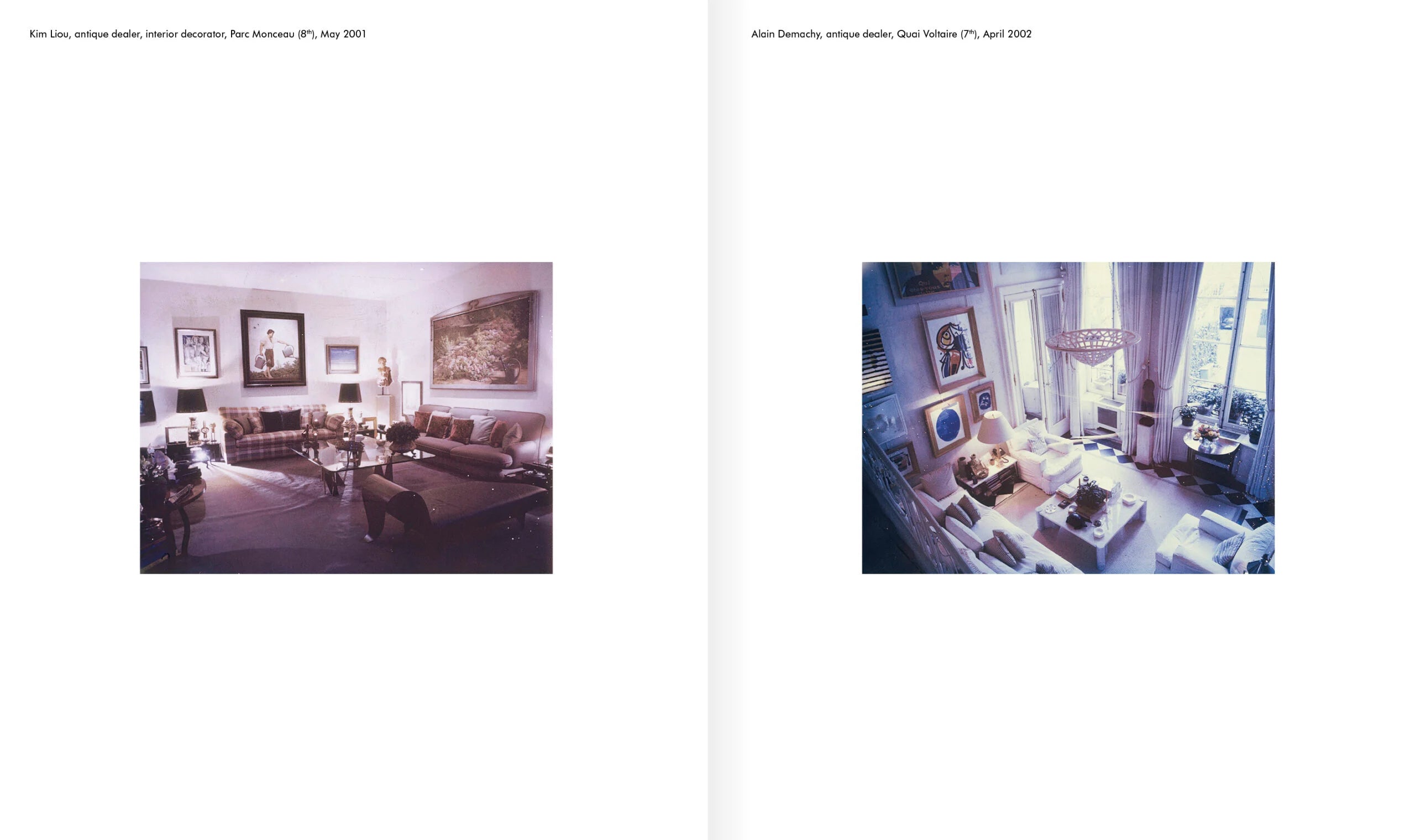 New York Living Rooms - Dominique Nabokov