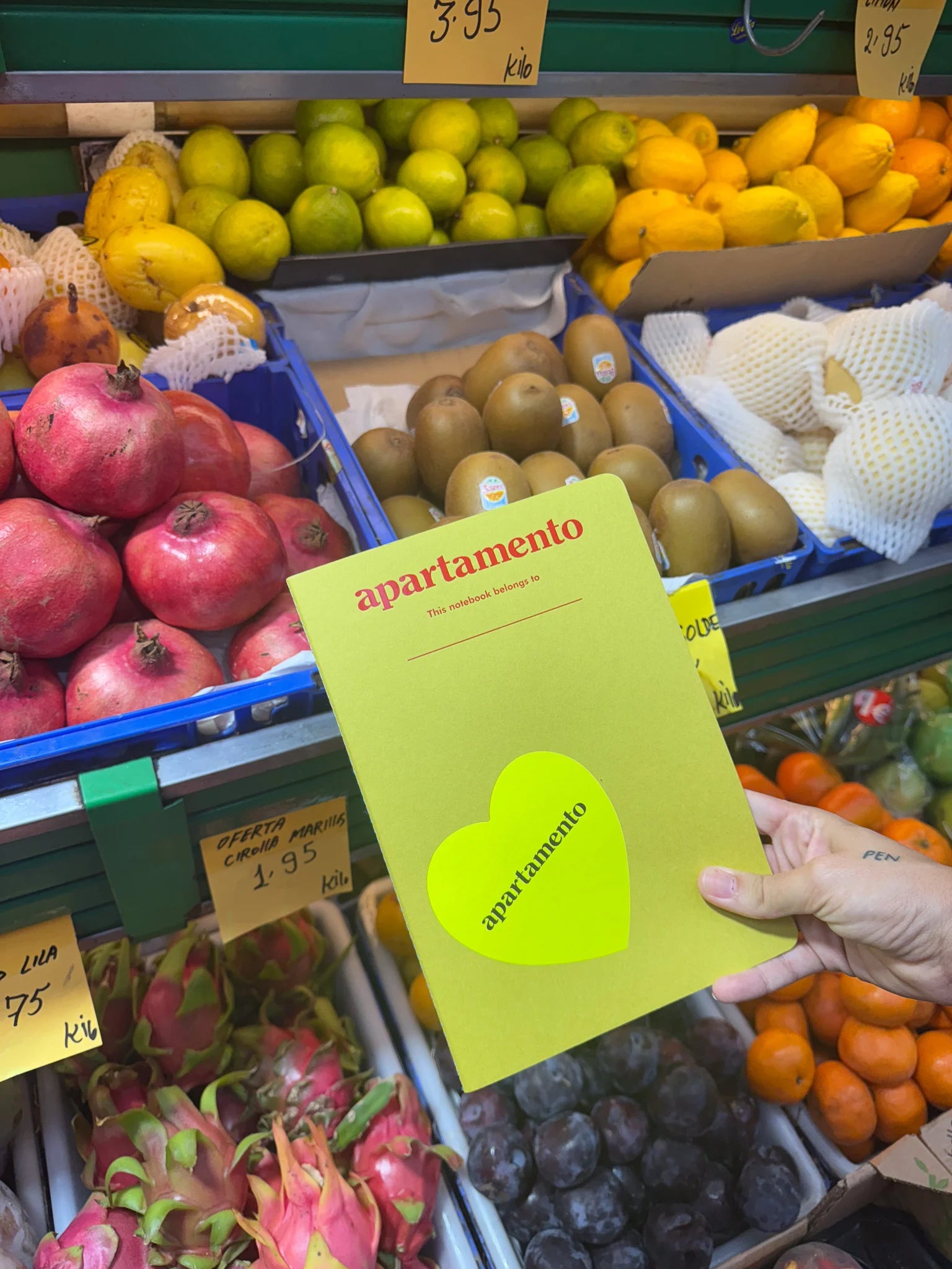 Apartamento Notebooks - Prickly pear