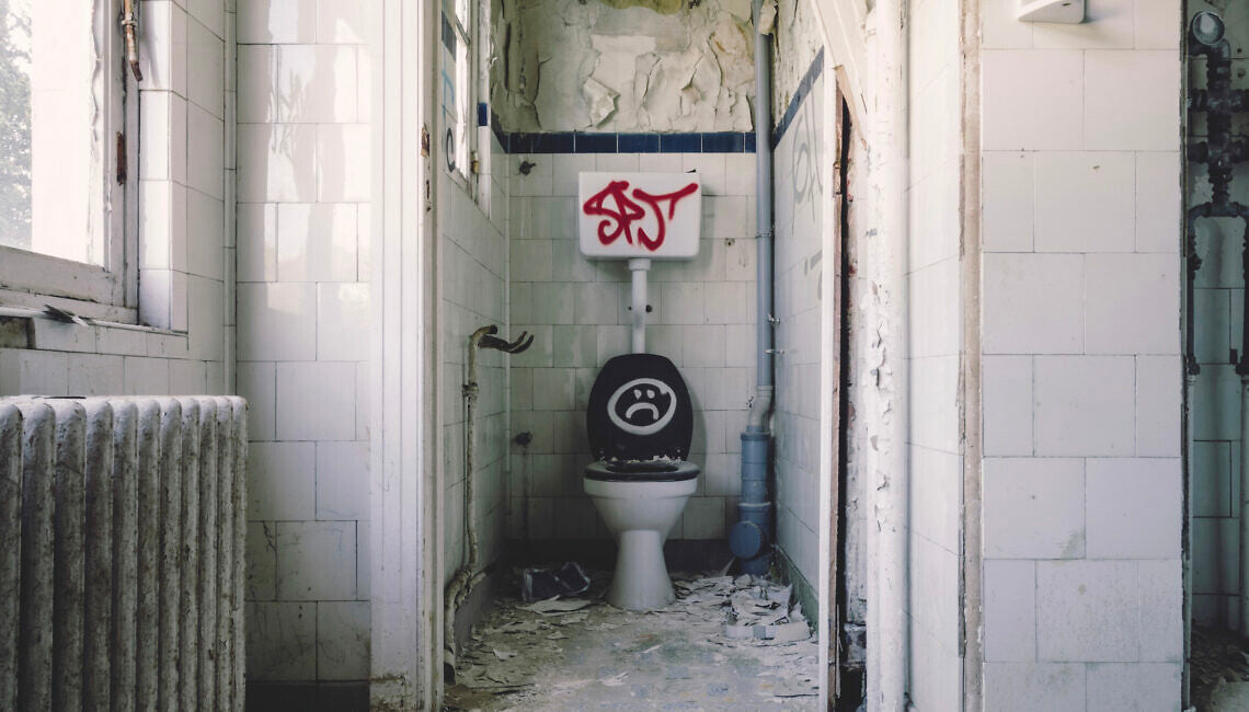 Death to the flushing toilet