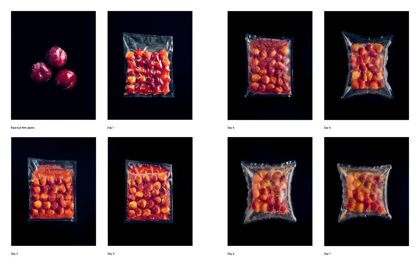 The Noma Guide to Fermentation