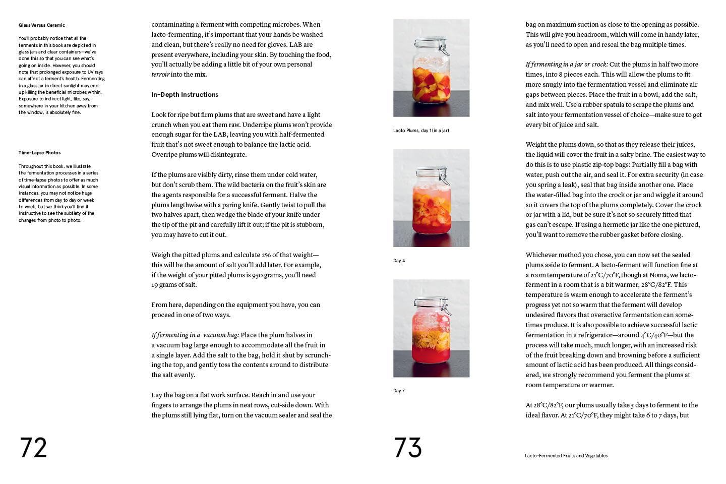 The Noma Guide to Fermentation