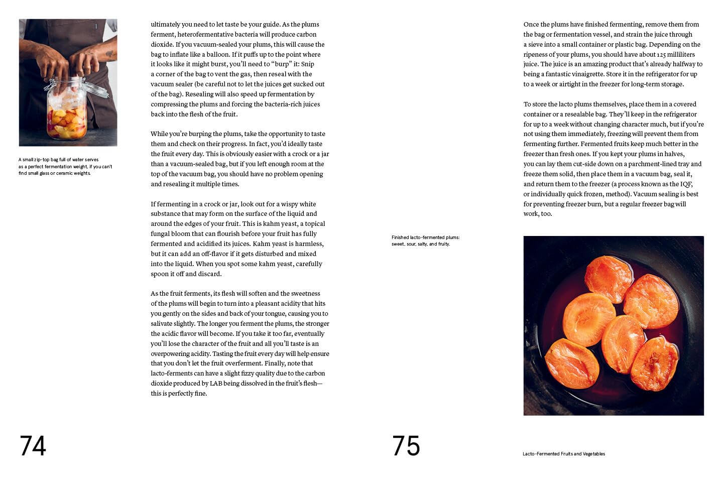 The Noma Guide to Fermentation