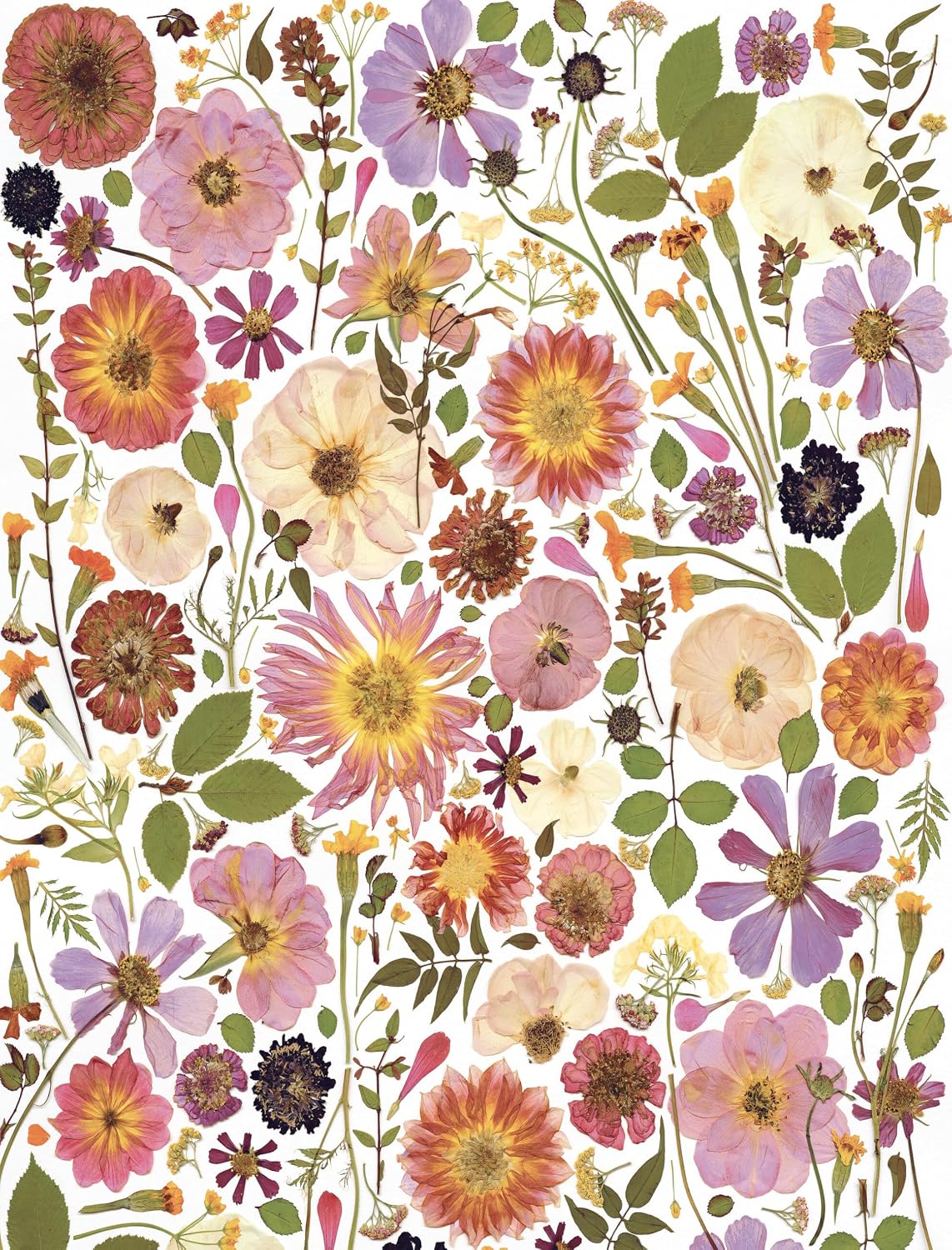 Beautiful Blooms - Wrapping Paper Book