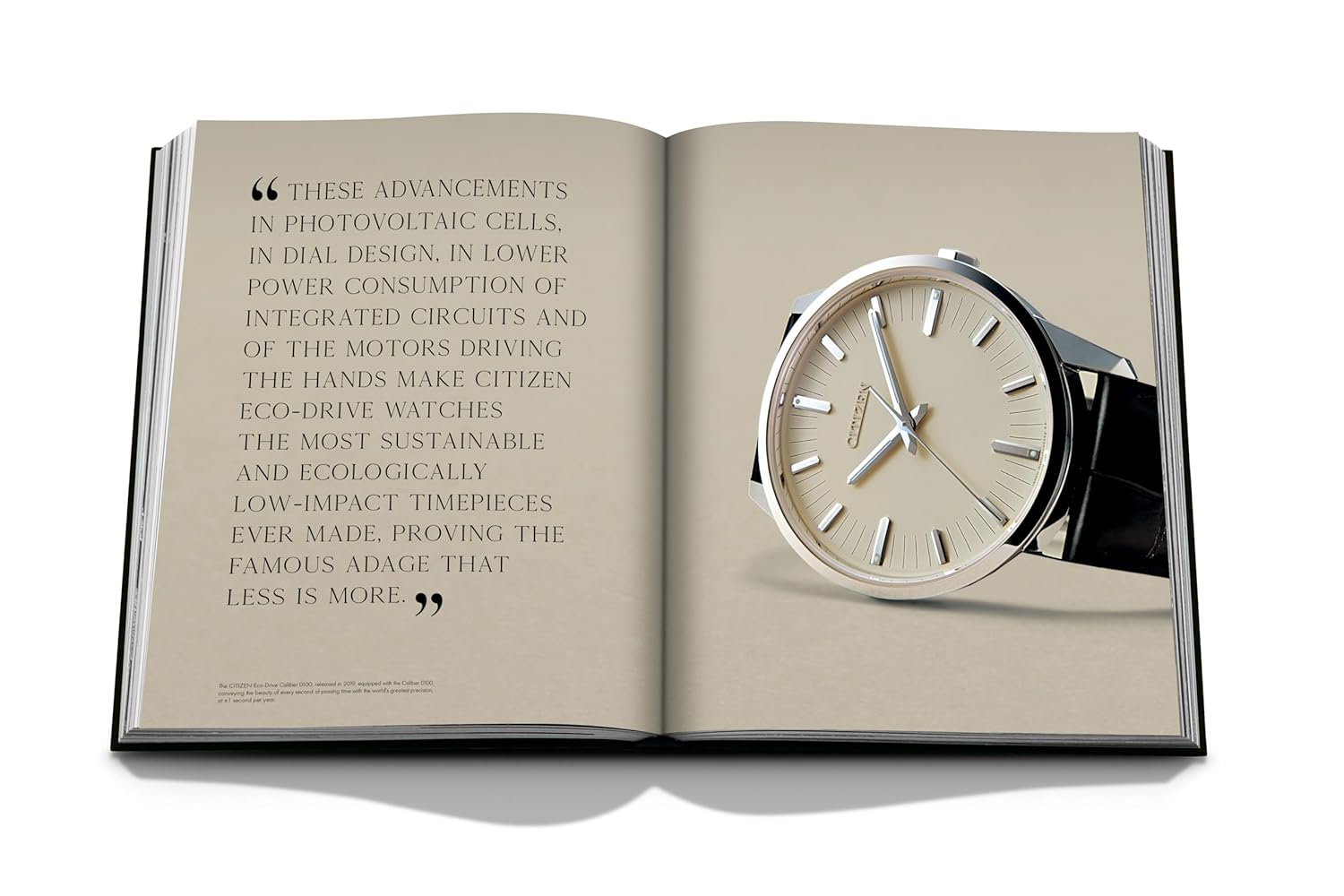 Citizen watch. A Century of Global Vision