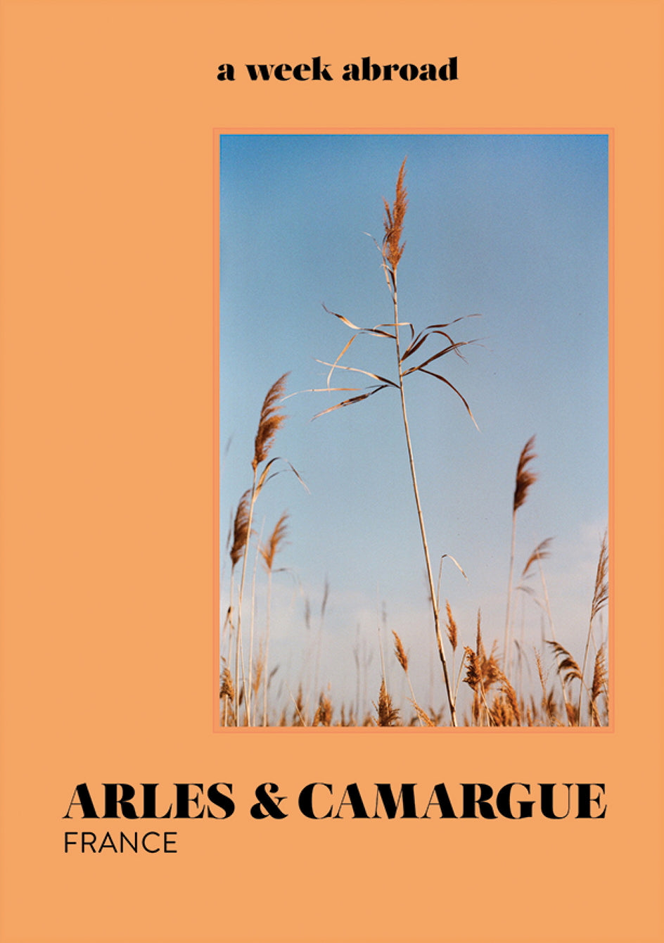 A Week Abroad Arles & Camargue