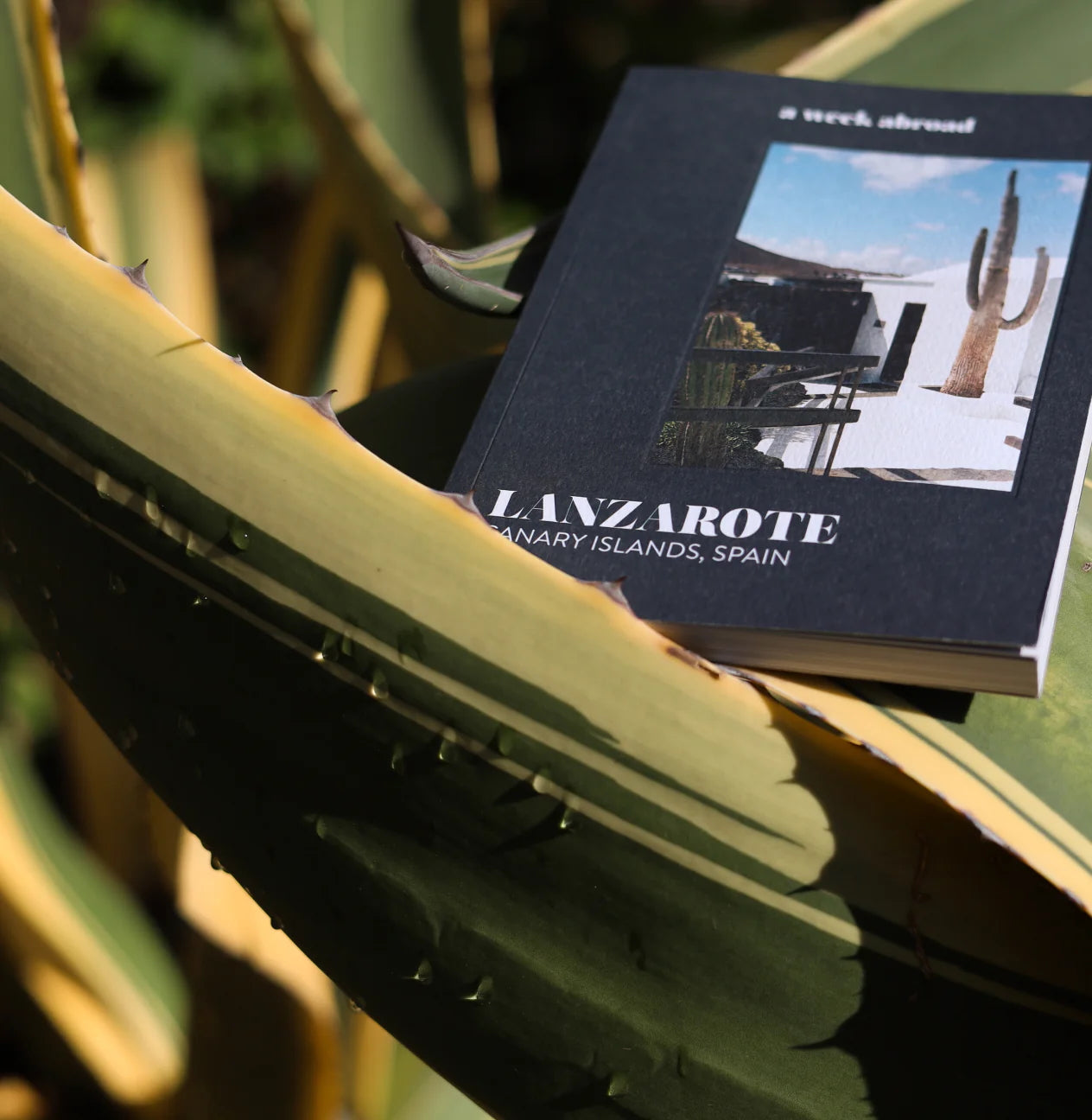 A Week Abroad Lanzarote