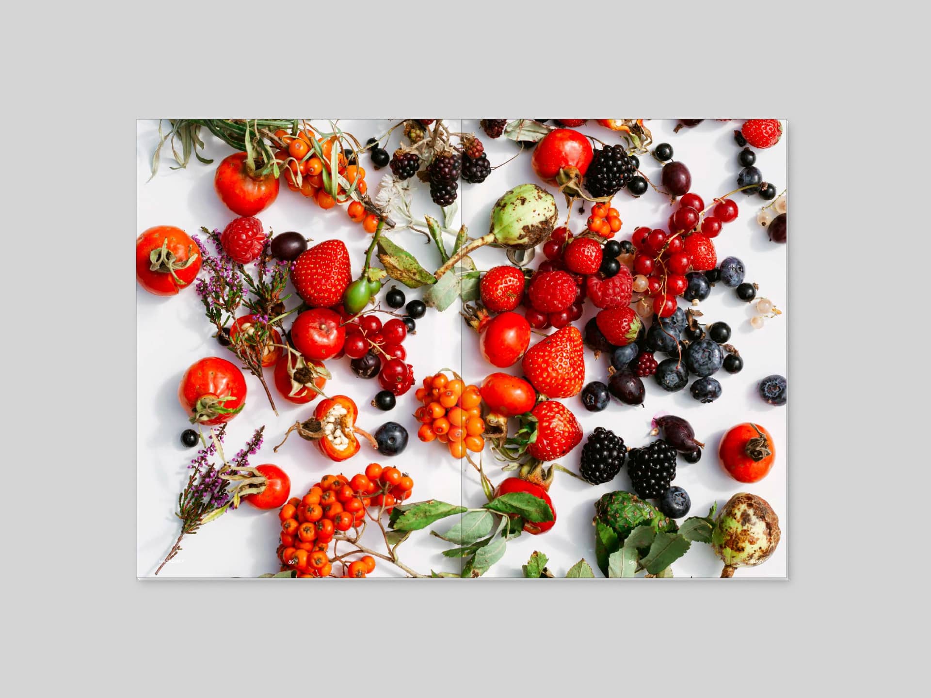 Magazine F Issue 10 BERRY