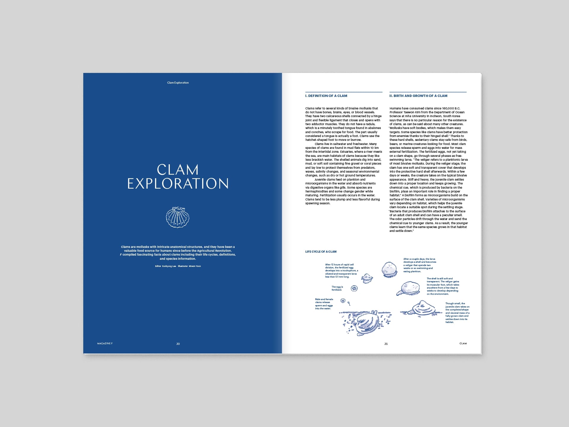 Magazine F Issue 13 CLAM