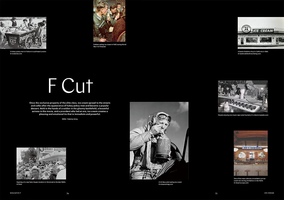 Magazine F Issue 17 ICE CREAM
