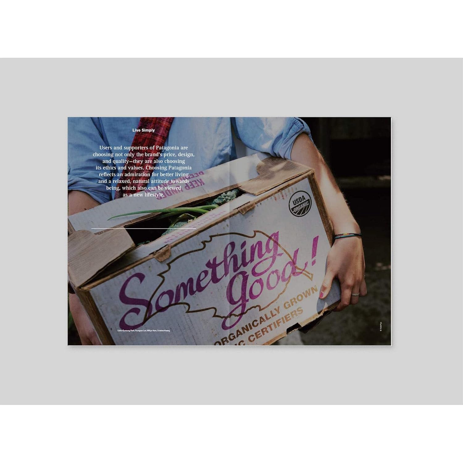 Magazine B Issue 38 PATAGONIA