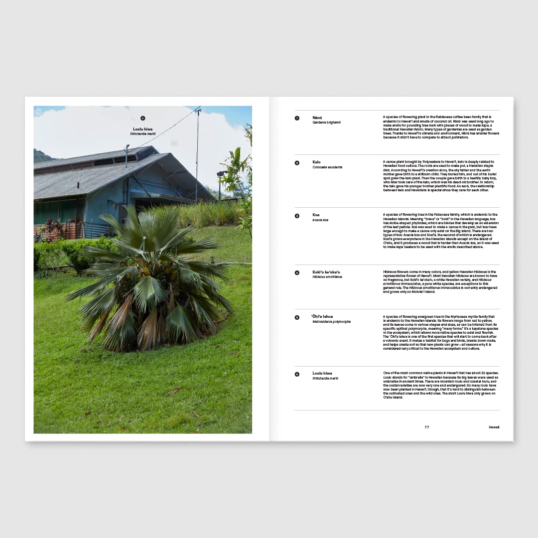 Magazine B Issue 91 HAWAII