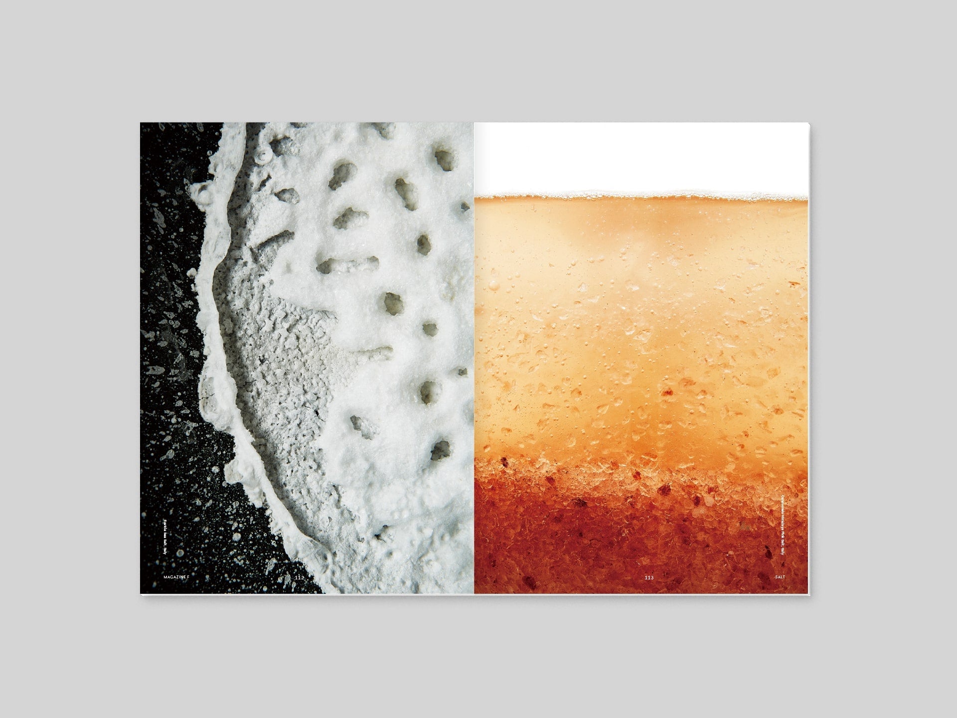 Magazine F Issue#01 SALT