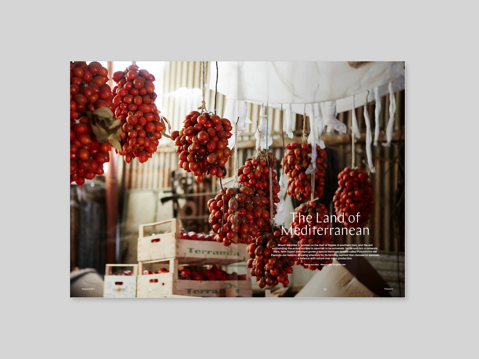 Magazine F Issue#04 TOMATO