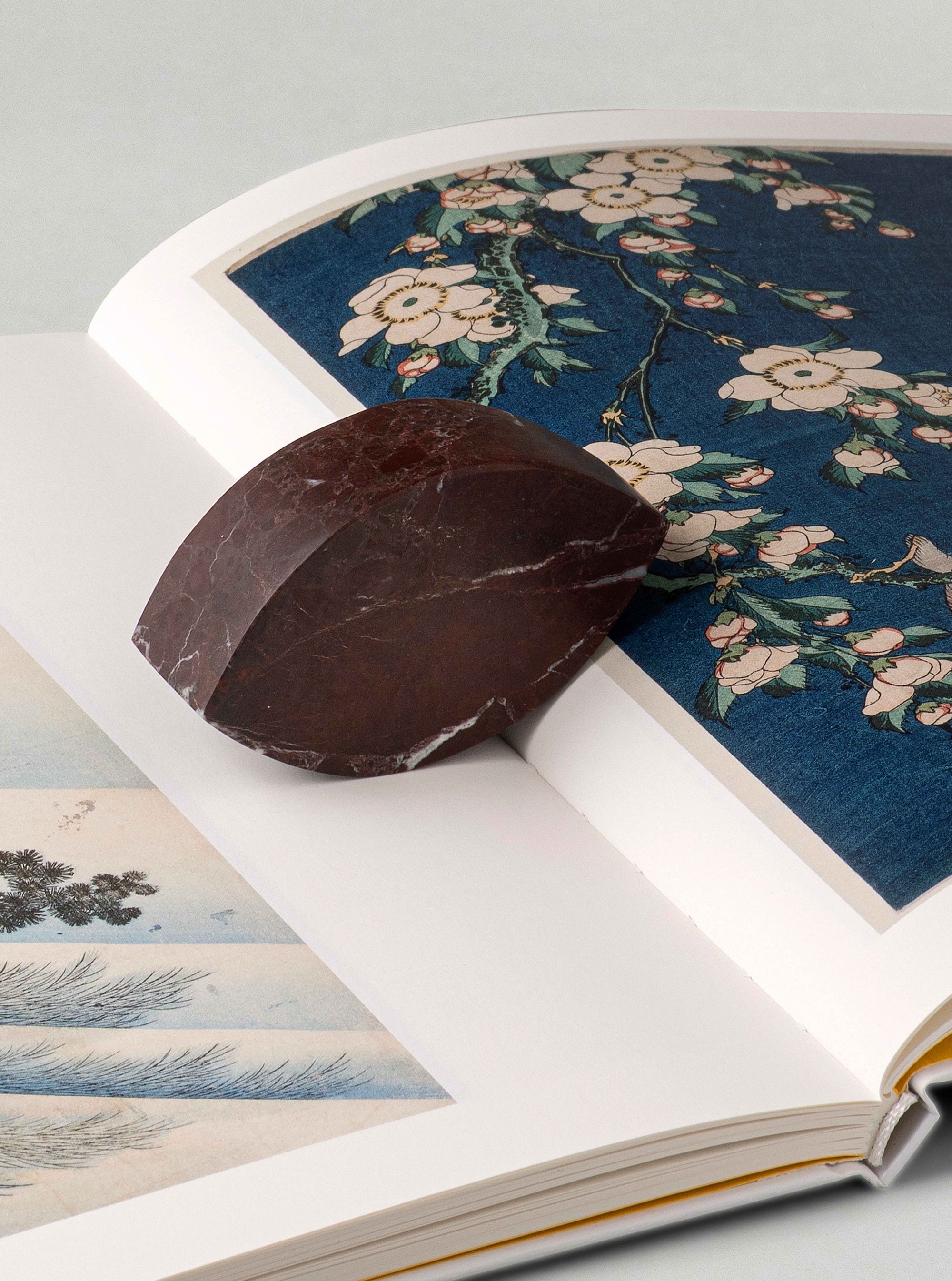 Almond - Rosso Levato