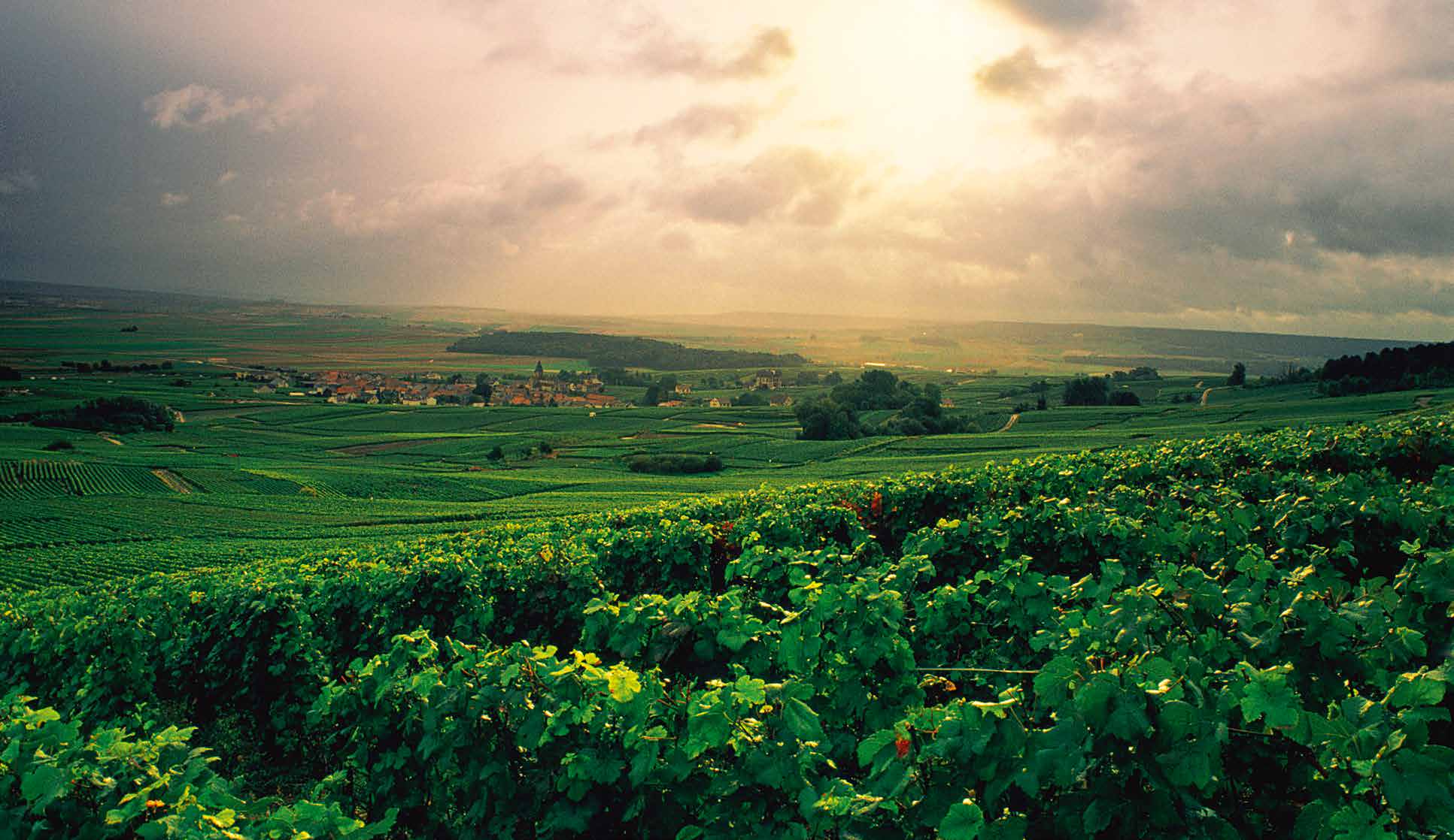 Champagne – Wine of Kings and the King of Wines