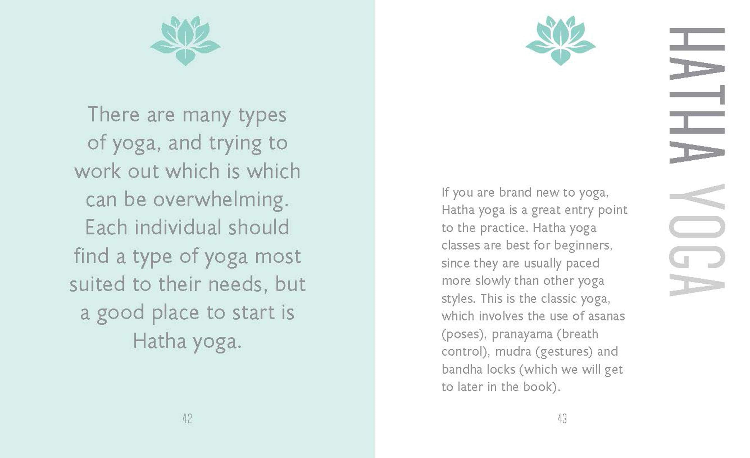 The Little Book of Yoga