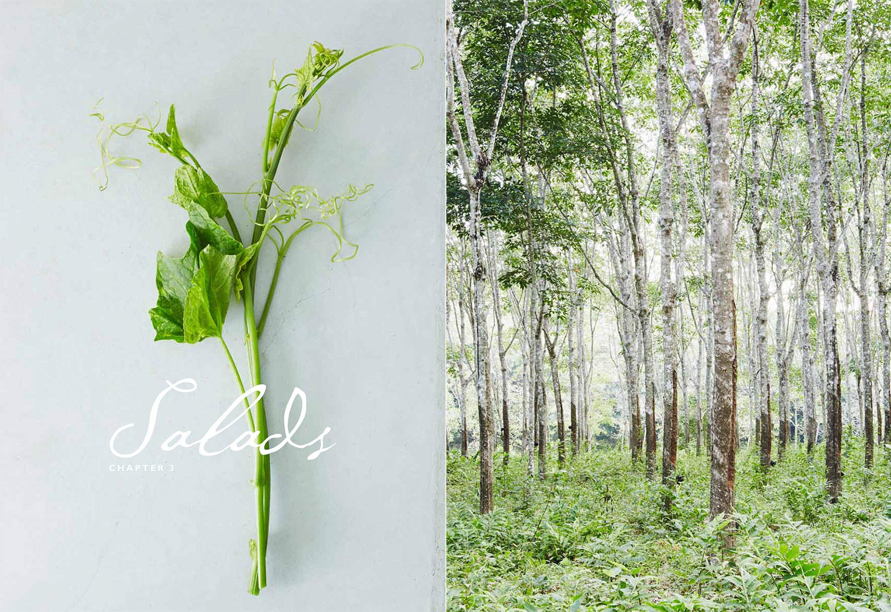 The Pleasures of Eating Well