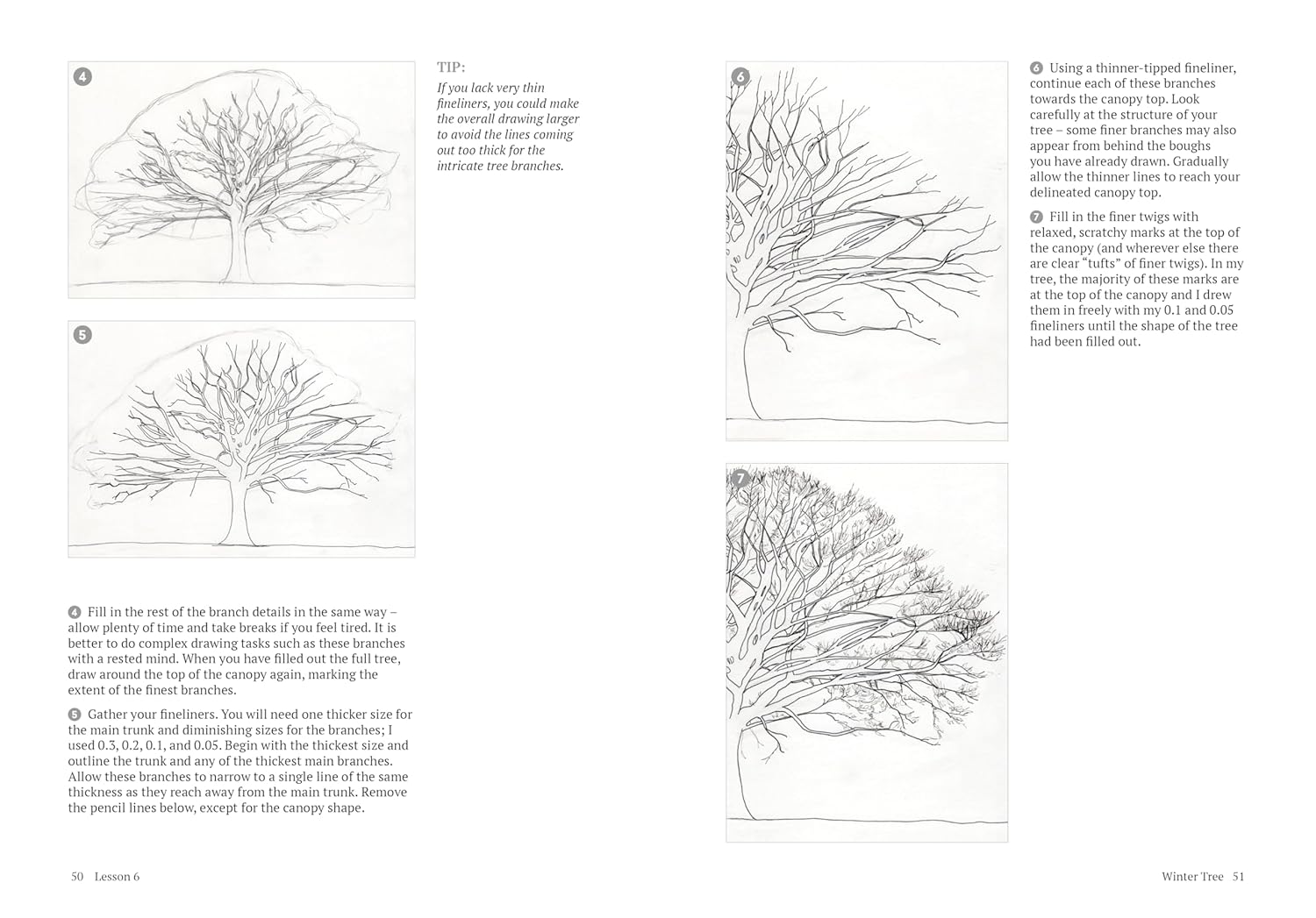 How to Draw a Tree