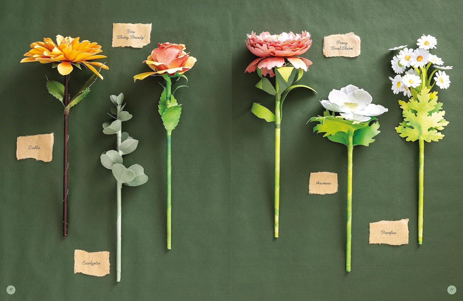 The Bouquet in a Book