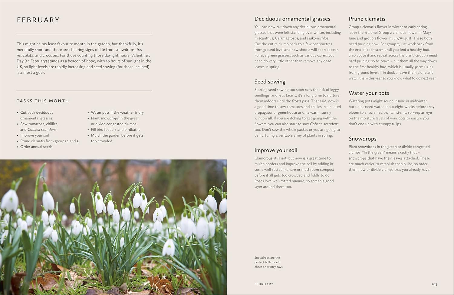 About How to Design a Garden