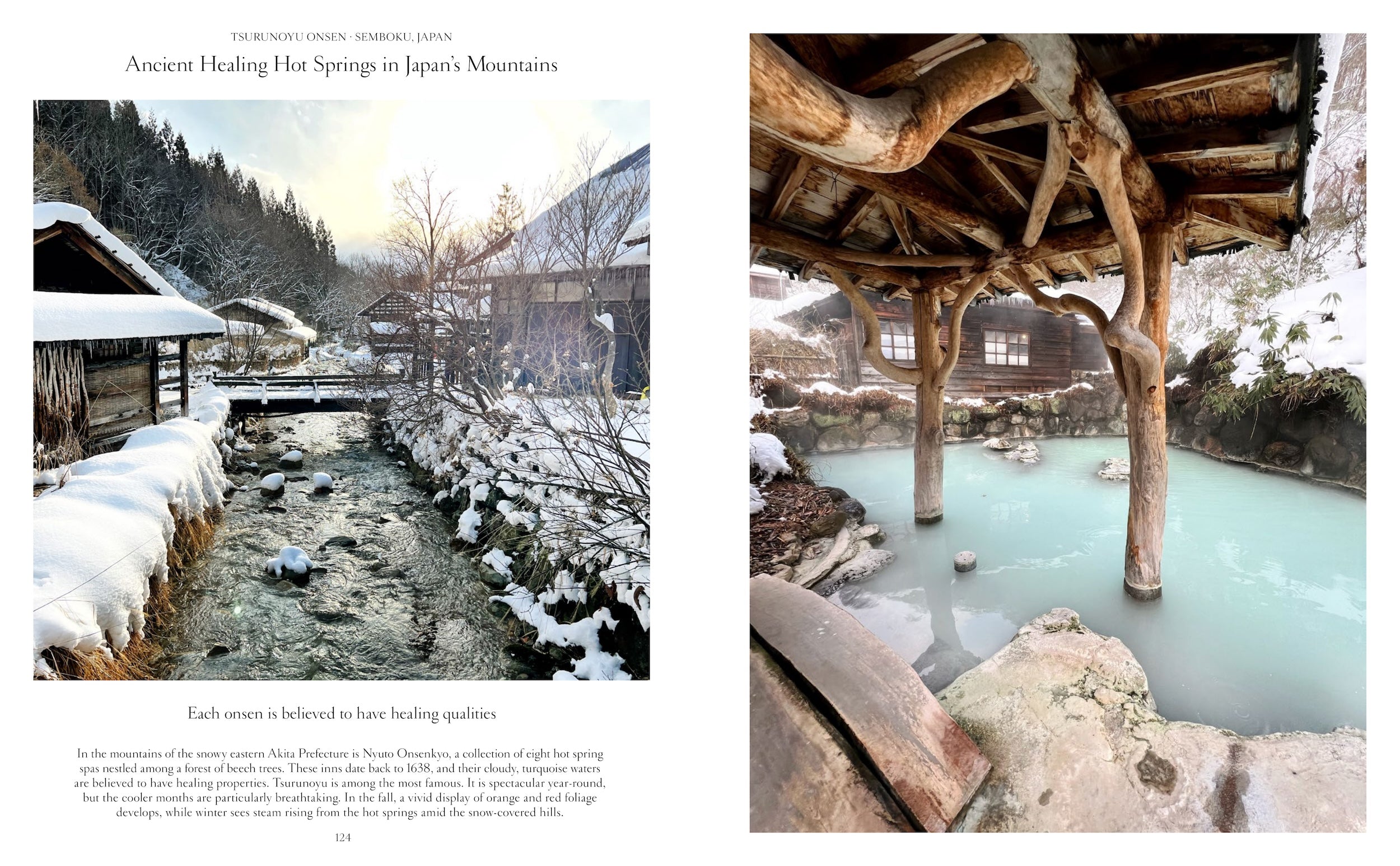 The Nature of Swimming