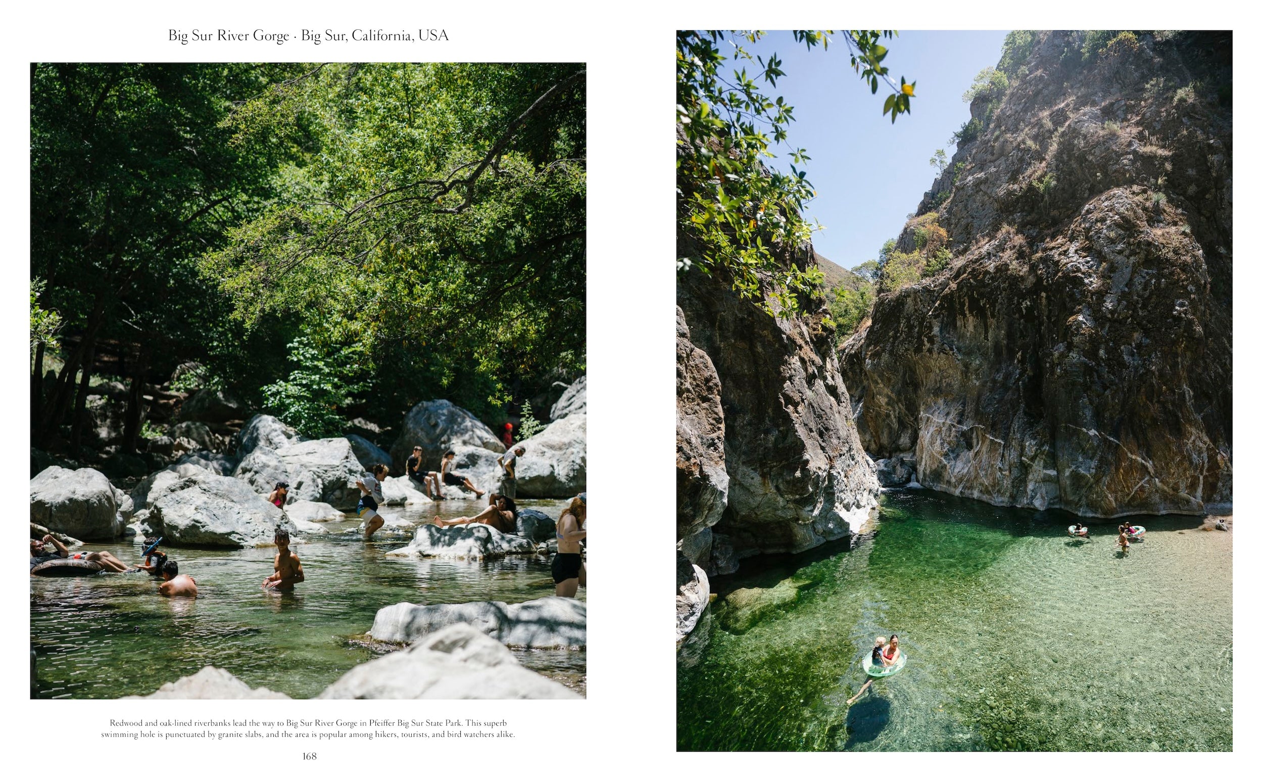 The Nature of Swimming