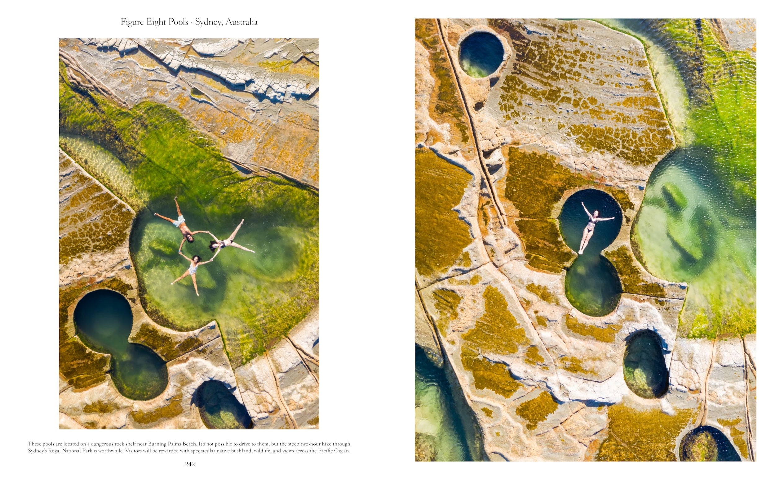 The Nature of Swimming