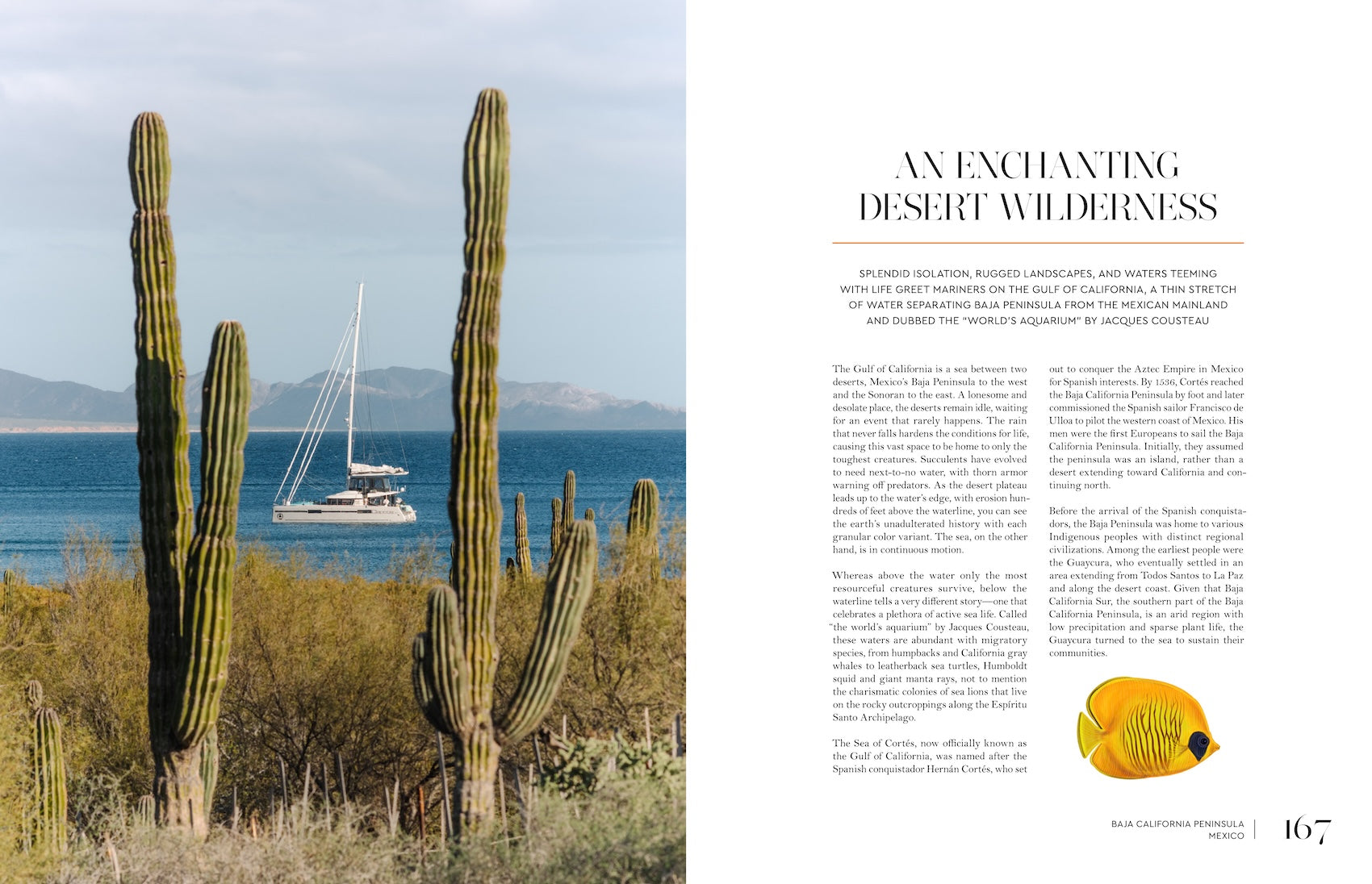 Sailing the Seas Vol. 2