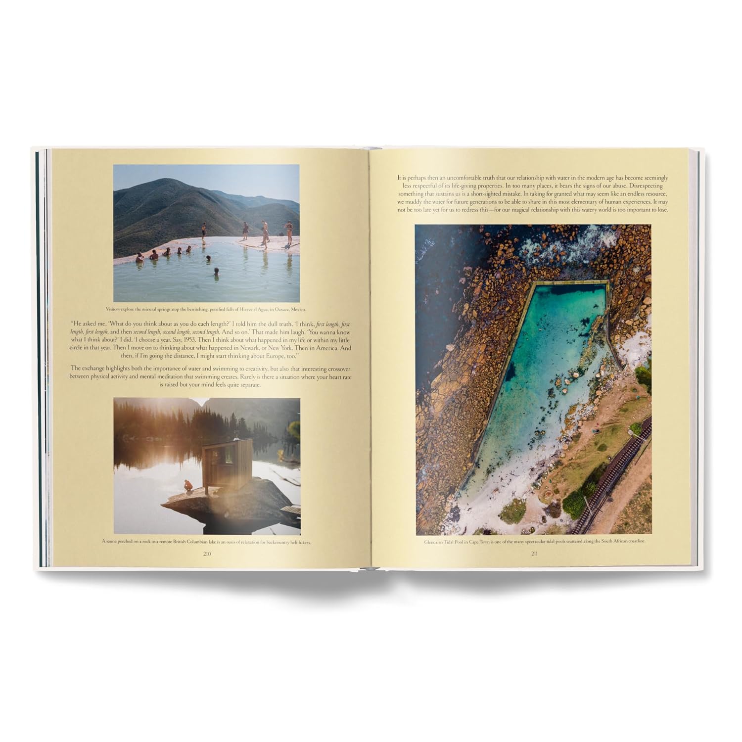 The Nature of Swimming (Updated Edt)