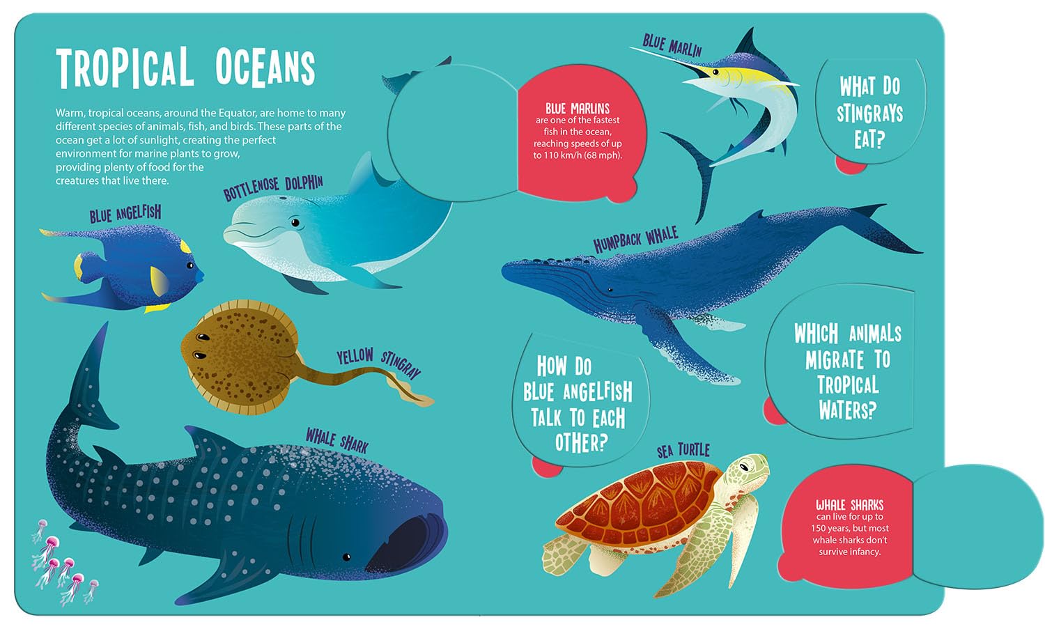 Magic searchlight - Ocean Animals