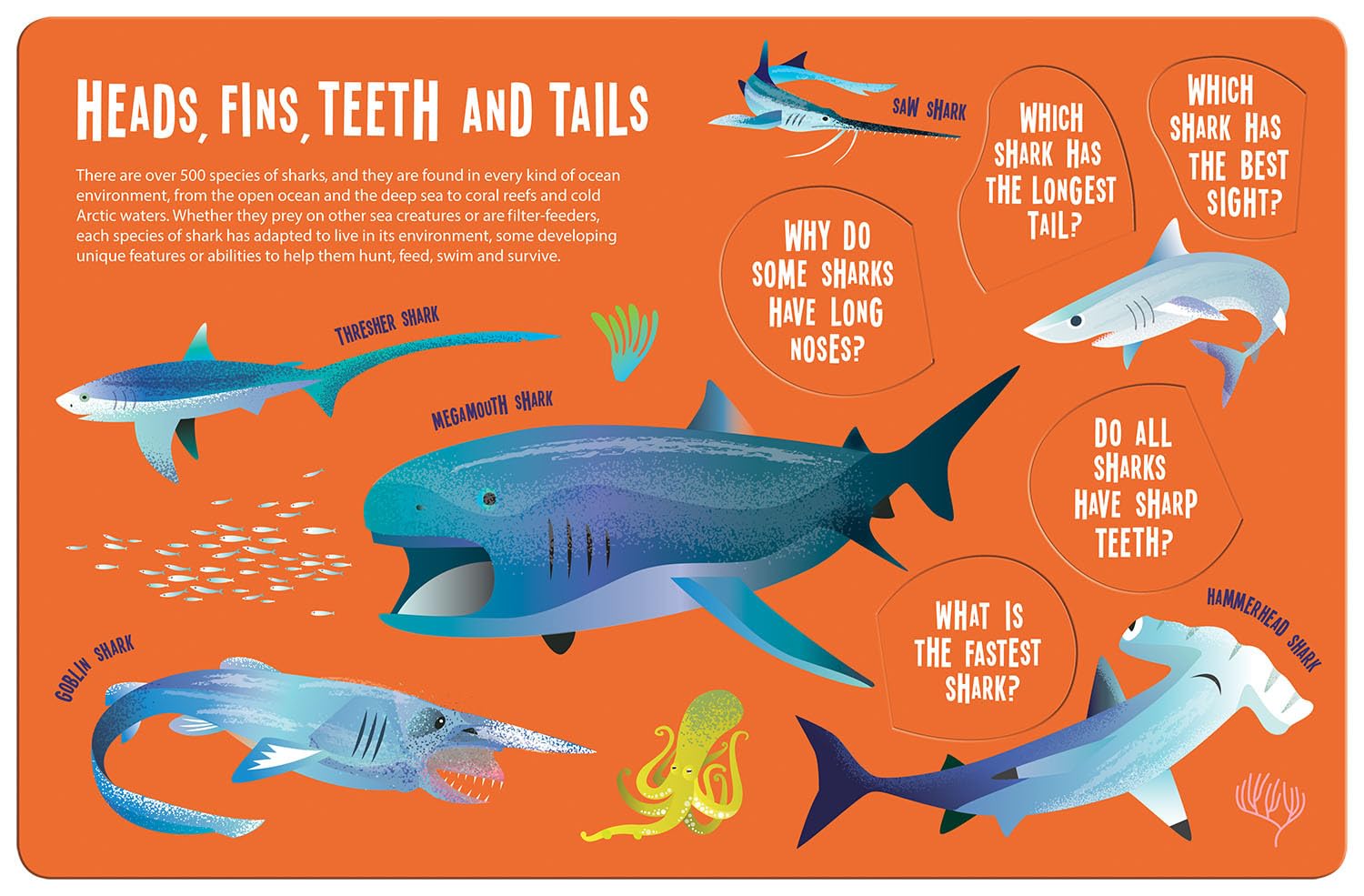 Magic searchlight - Sharks