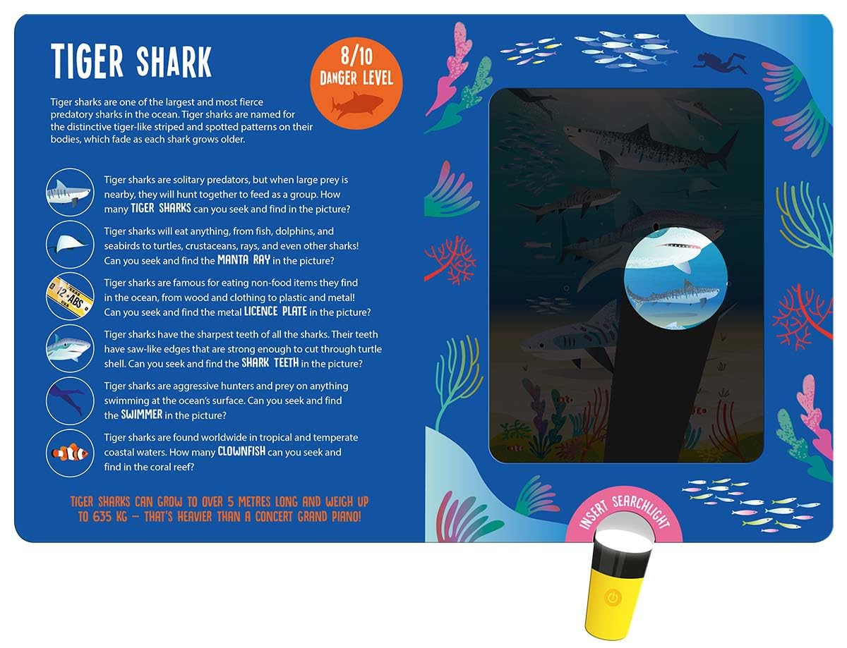 Magic searchlight - Sharks