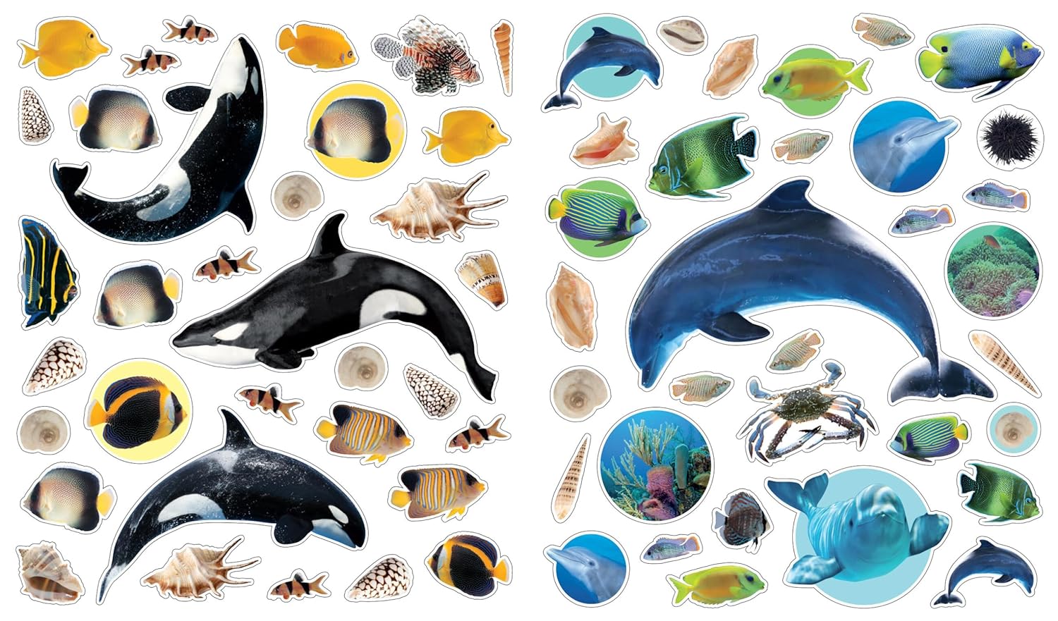 Eyelike Stickers: Ocean