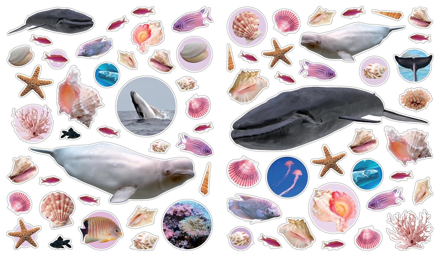 Eyelike Stickers: Ocean