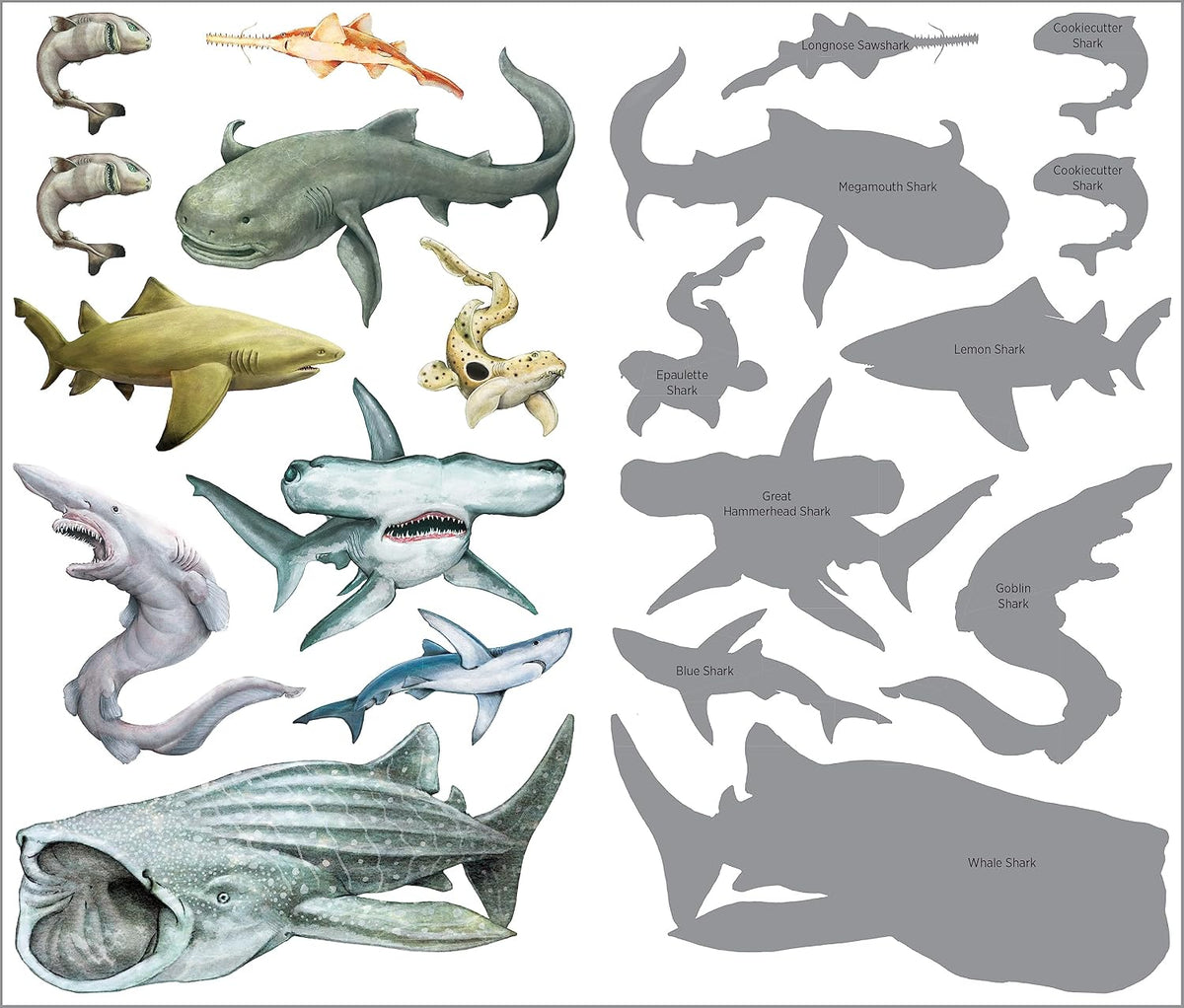 Super, Strong Tattoo Sharks